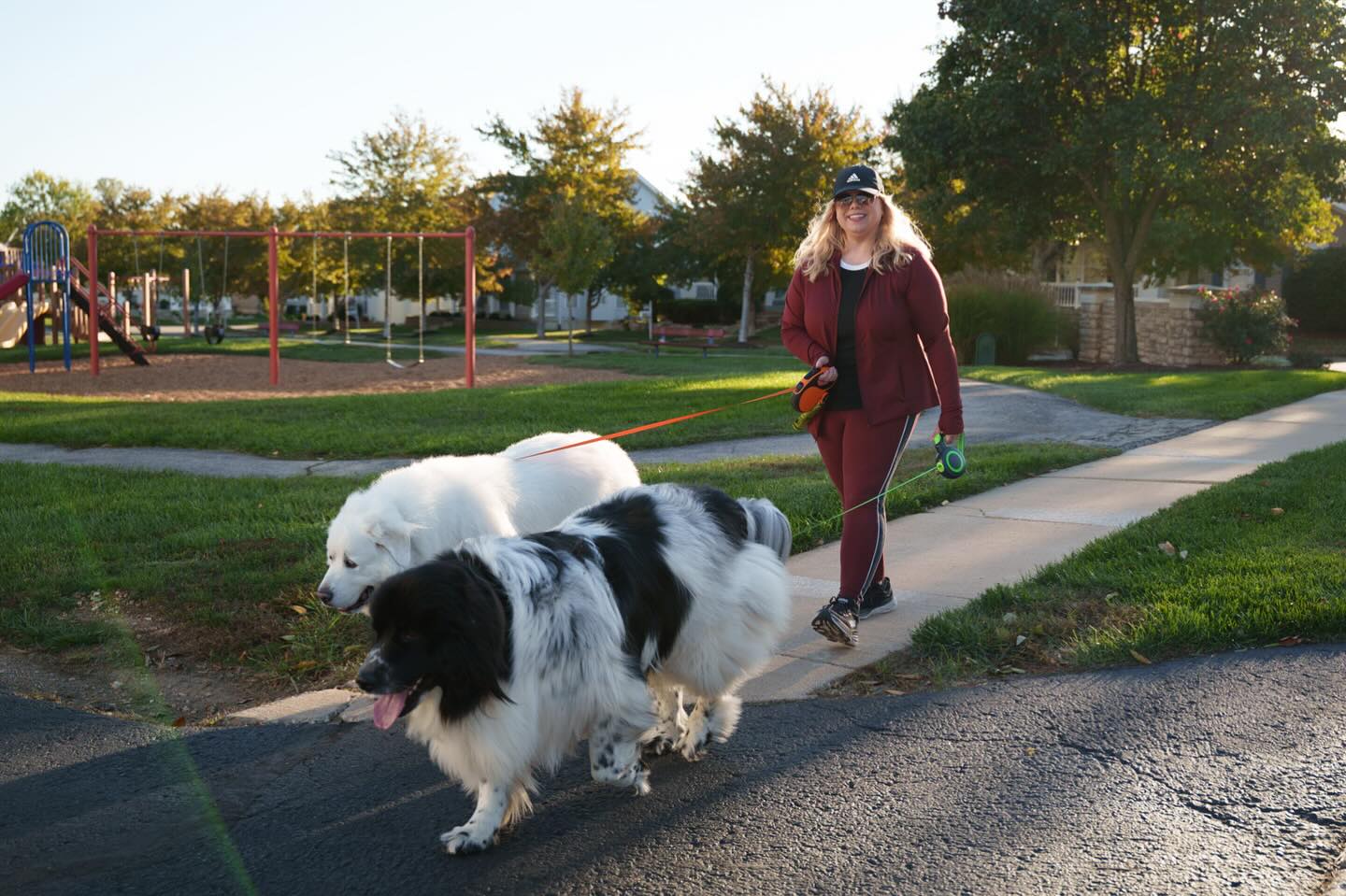 DottieBoo Pet Care branding shoot for @trinaleahy ๐พ