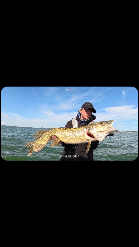 See you soon, on the Volkerak with UFX.
#yamahaprofishing #batterylabs #stcroixrods #spro #proventocatch #volkerak