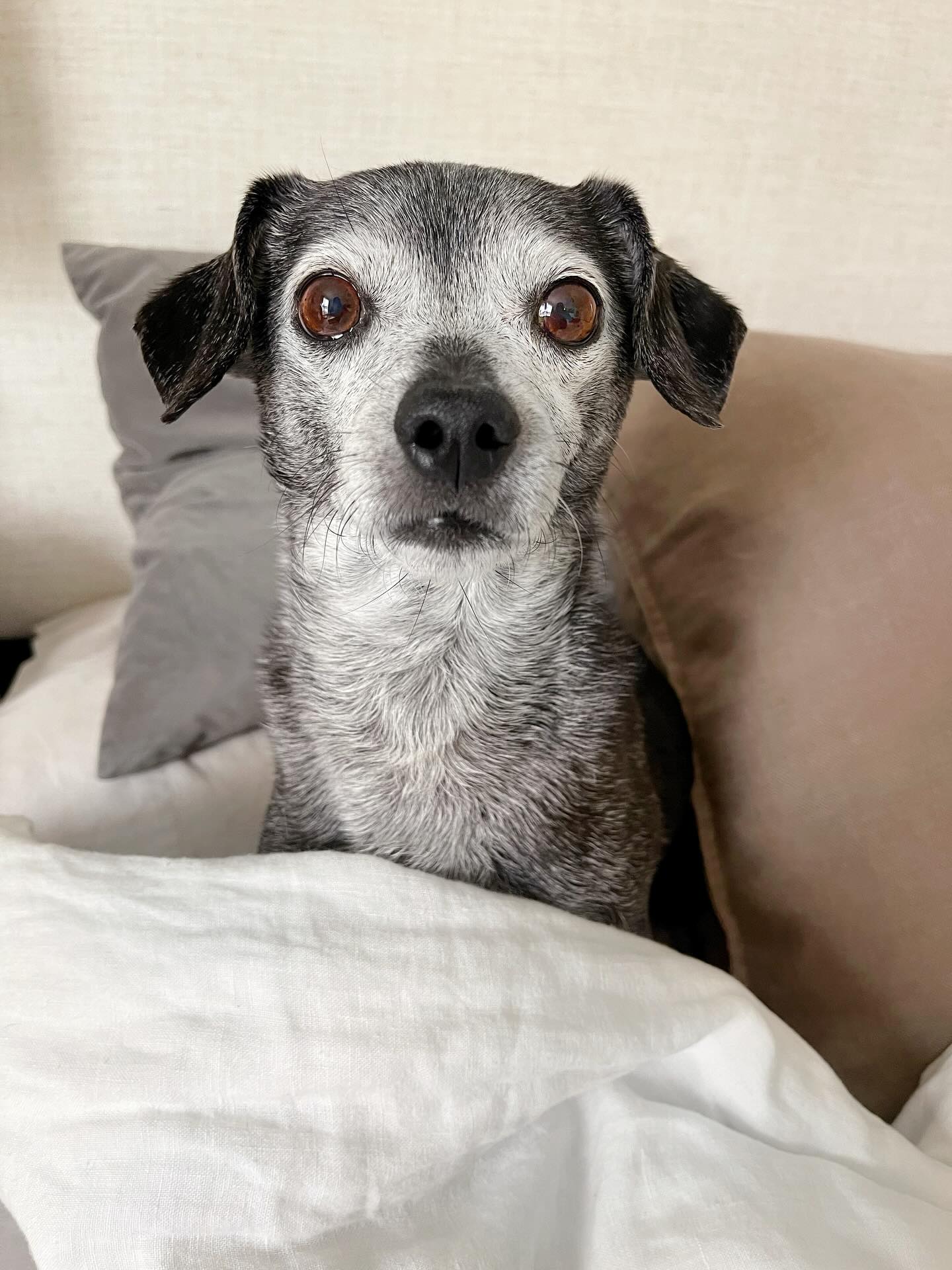 We’re entering “don’t want to get out of bed” season.