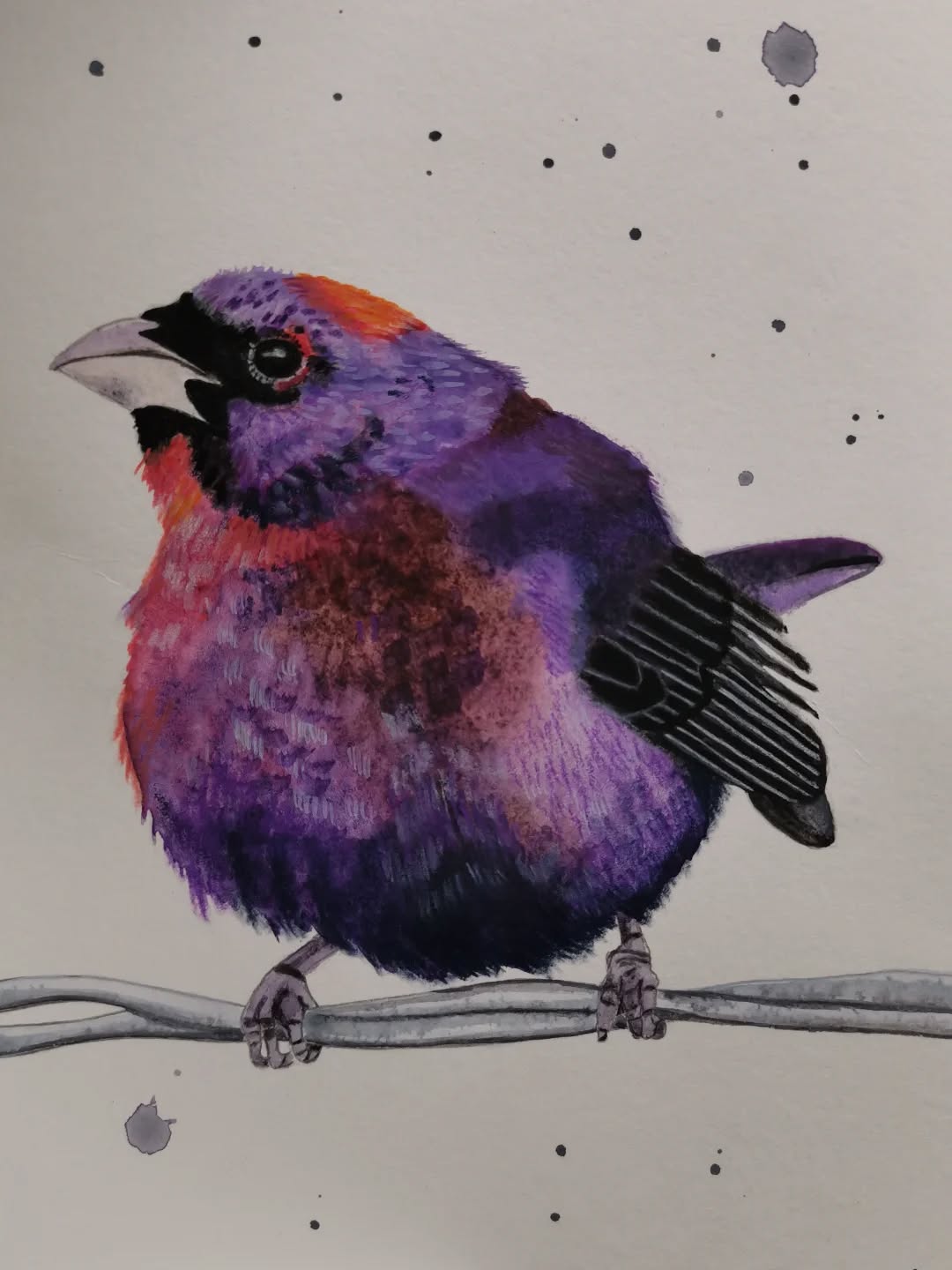 The Varied Bunting lives in Mexico, touching on the southern United States.
Day 29 #Birdtober2025 #birdtober
This year I'm using watercolor, neocolors II, pastel and pencil crayons, charcoal, and gelly roll pens. Whatever floats my 🐦
I'm working on Clairefontaine watercolor paper 5.8x8.3" (A5) cold press paper.
@aholmesartstudio #ilovebirds #bird #birdartist #birdart #birddrawing #birdpainting #birdillustration #birdnerd #birbs #painting #drawing #illustration #birdchallenge #watercolorart #watercolorpainting #pencilsketch #fabercastell #clairefontainepaper