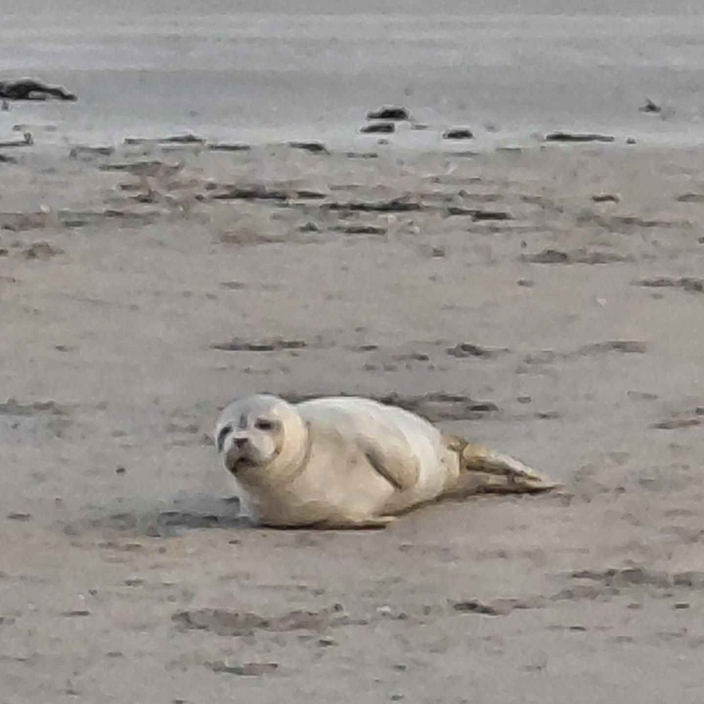 Formidable séjour à la mer avec de veritables amies, quel plasair de partager sa passion dans 1 tel cadre. Gratitude !