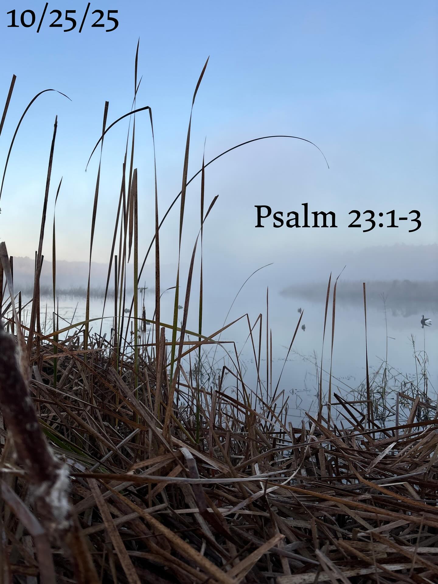 PSALMS 23:1-3
“The LORD is my shepherd, I lack nothing. He makes me lie down in green pastures, he leads me beside quiet waters, he refreshes my soul.”
Most often quoted for its 4th verse, “Even though I walk through the valley of the shadow of death, I will fear no evil, for you are with me; your rod and your staff, they comfort me”, Psalms 23 is a stark reminder that the Lord is always with us…especially in his creation!
Every hunter, fisherman, and outdoorsman knows how peaceful a morning in His creation is. It replenishes our soul and the beauty of the creation is a testament to our God!
AMDG
DEUS VOLT
#outdoors #God #Christianity #Catholicism #duckhunting #psalm23 #peace #hunting #fishing #Jesus