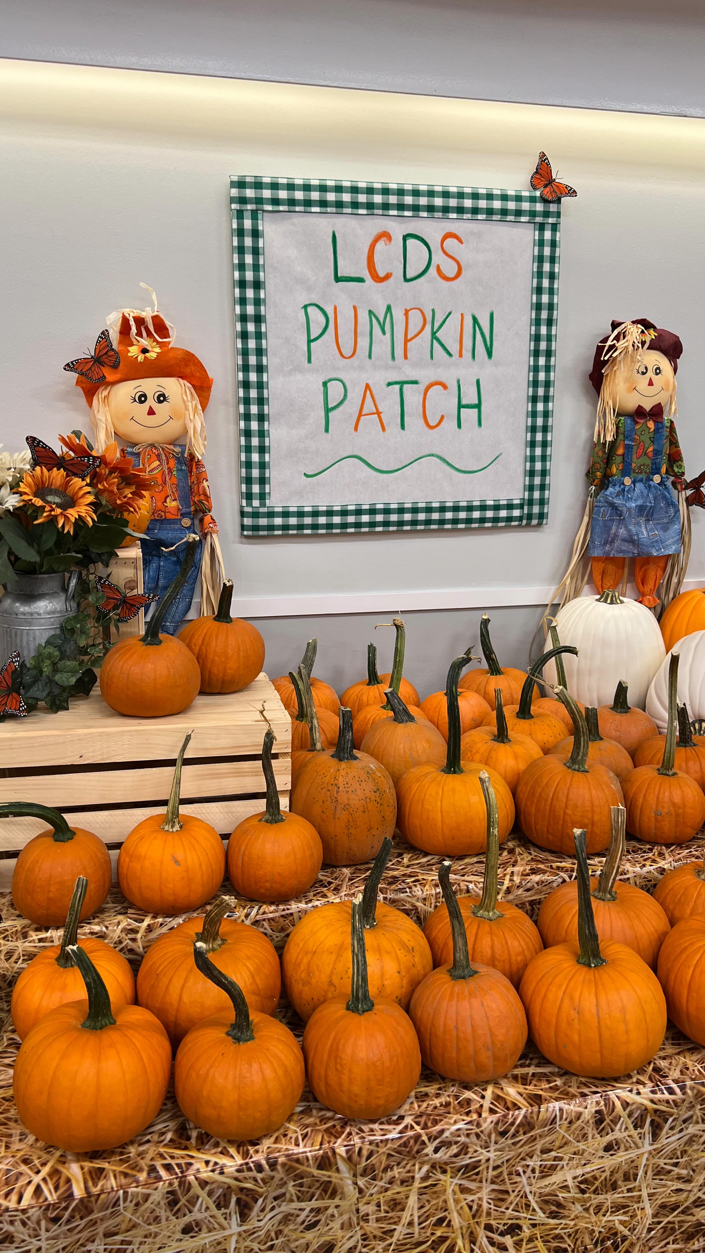 This week we celebrated Pumpkins & PJs, a festive board-sponsored event where the Common Area is transformed into the LCDS Pumpkin Patch. Our friends had the opportunity to visit the pumpkin patch and select a pumpkin to decorate. Each class used a variety of different materials, resulting in pumpkins as unique and special as each one of our students. 🎃
**********************************
#LCDS
#LearningCommunityDaySchool
#PlayBasedLearning
#Preschool
#WestportCT
#FairfieldCounty
#GrowingLifeLongLearners
#CommunityBuilding
#PreschoolArt
#PumpkinsAndPJs