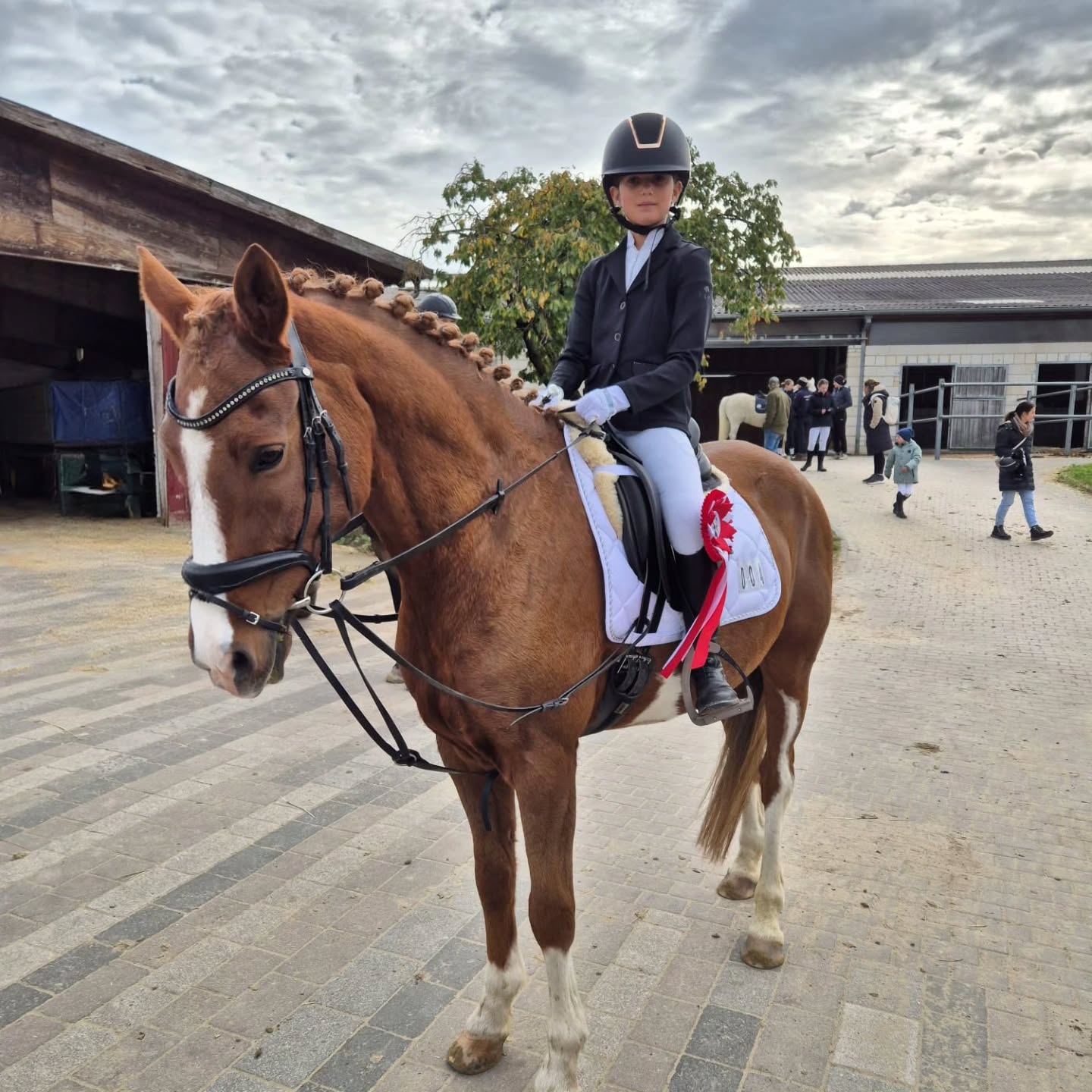 Kleiner Rückblick!
Nachträglich gratulieren wir Laura Clausen und ihrem Campari zum 3.Platz im Reiterwettbewerb im Reitzentrum Sames am 19.10.25💪🏽💚
Erwähnenswert war die tolle Organisation und die schöne Atmosphäre für den Reitnachwuchs! ☺️