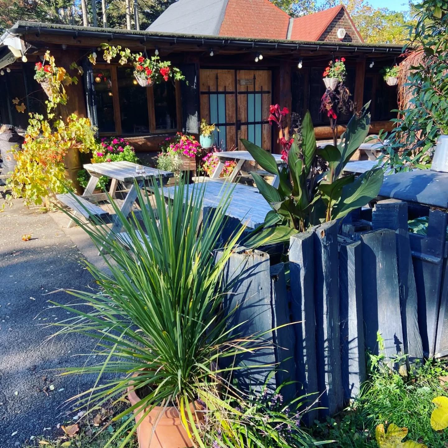 Autumn colours ππ°ππ
.........................................................
#sunnyhillcafe #sunnyhillpark #hendon #millhill #edgware #instacafe #parkcafe #autumn #seasons #flowers #naturecafe #fypγ·β€οΈπβ€οΈ