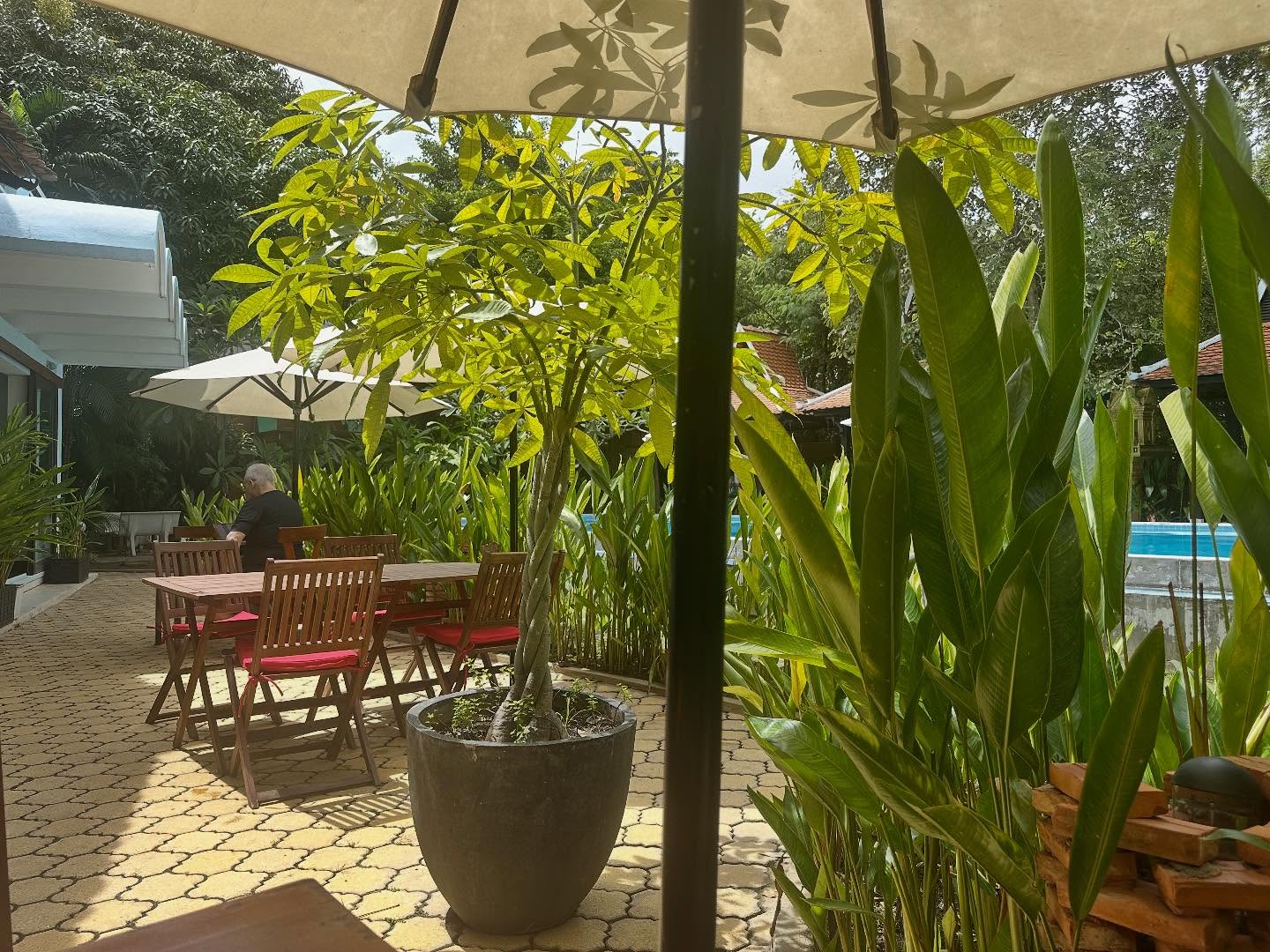 My Saturday morning view 😃 When you send financial gifts to Carrying Companions through IOM (which you can do anytime through Carrying Companions’ website 😊) a small 9% fee is used by IOM and one of the many things that goes towards is an annual retreat where our director gets to stay 2 nights in a hotel while receiving encouragement from IOM’s director and some board members. Be assured, every dollar you give is well stewarded! Thank you for giving 💕