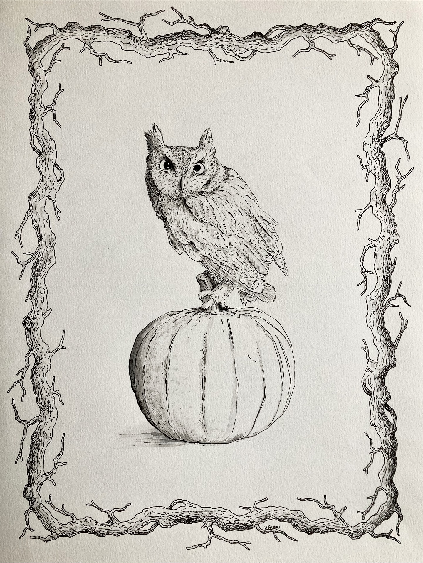 I enjoyed every minute of this ink drawing. I used an ink fineliner for the line art and diluted ink for shading. As a reference, I used a picture of one of the owl patients from the @congress.of.the.birds. I hope this patient is on the way to recovery!
Groups of owls are called a parliament - quite the fitting name for such wise-looking birds, don’t you think?
Owls can turn their heads 270 degrees (not the full 360° — that’s a myth!).
Most owls cannot see or see very few colours. Their world is mostly monochrome. But an owl’s sight is incredibly sensitive to light, making them ideal hunters at dusk or night.
If you’re interested in learning more about the process, visit my website ;) The link is in the bio.
#grimms_illustrations #halloween #illustration #kidlitart #kidlit #bookillustration #owl #ink