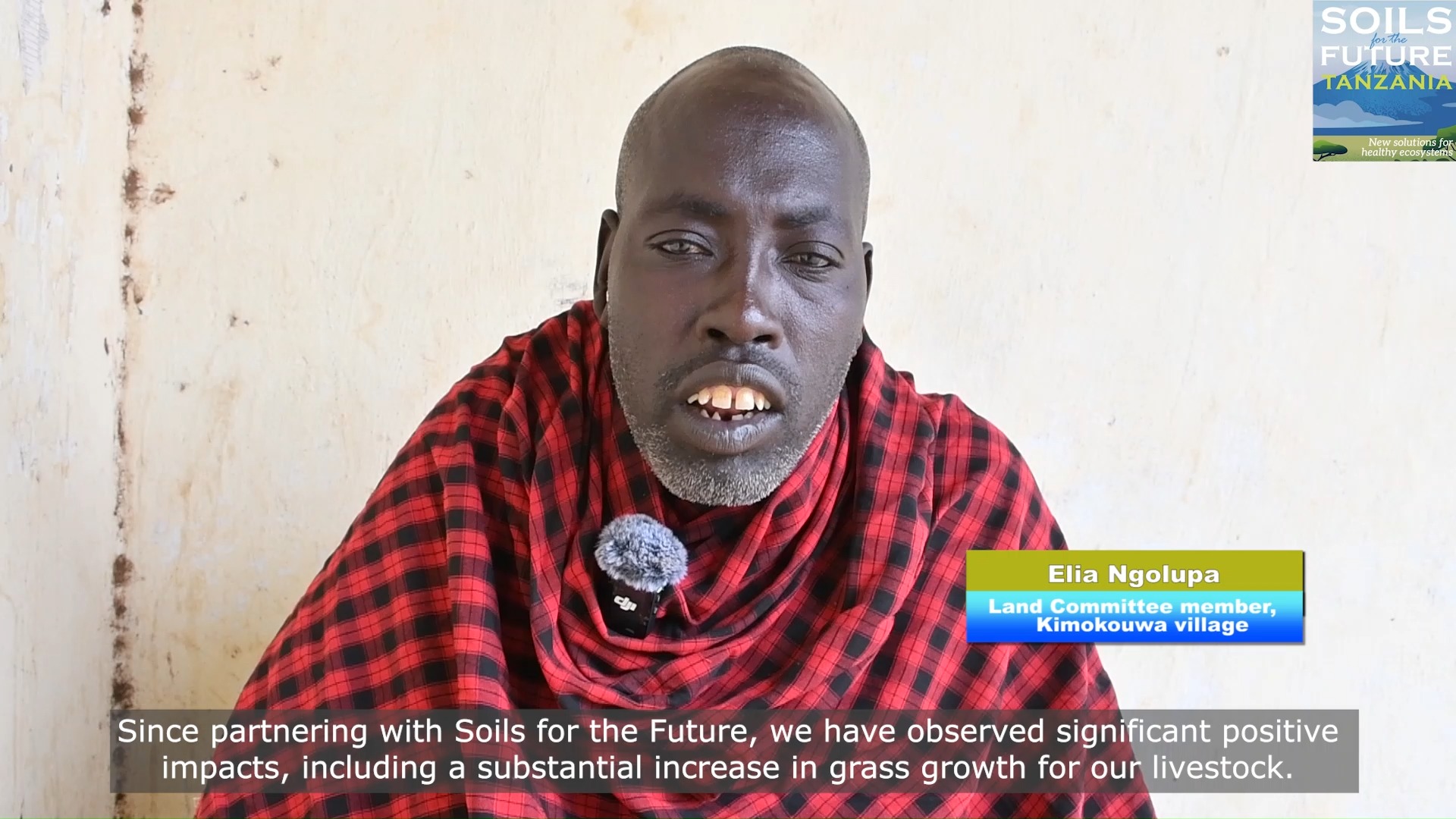 Does Rapid Rotational Grazing actually work?
The goal of Rapid Rotational Grazing is to ensure that grazing remains a sustainable, resilient, and primary livelihood for pastoralists. But does it work? Elia Ngolupa, a community member from Kimokouwa village, shares what he’s seen since partnering with Soils for the Future Tanzania. By following the RRG plan, rotating herds and letting land recover, he’s noticed a significant increase in grass growth.
Even during droughts, when healthy, available pasture used to vanish and pastoralists had to move livestock farther away, there is now enough grass to sustain herds closer to home.
And if extreme droughts do threaten grazing areas, SftFTZ helps bring neighboring committees together to create a shared pasture-use plan, keeping pastoral livelihoods resilient for the future.