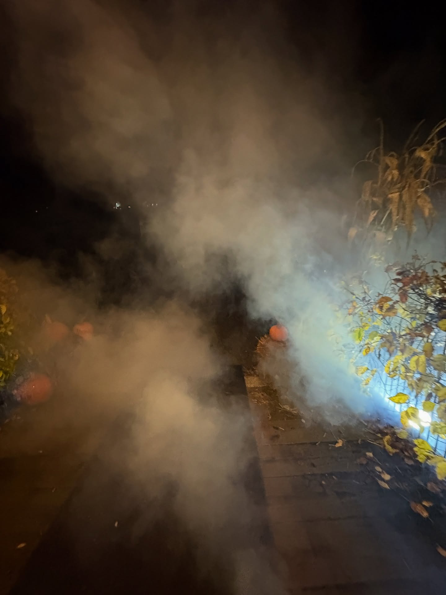 Happy Hallowine from your friends at @stablegatewinery
Today 12-4!
Ecstatic dance 5PM