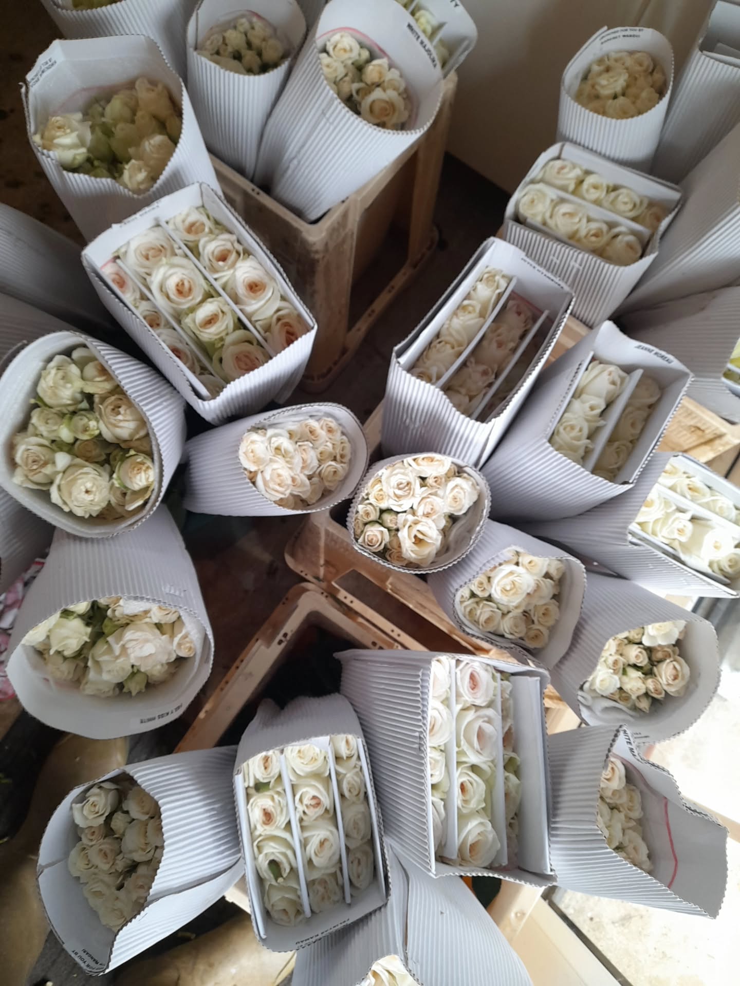 This time last year... so wonderfully reminded by @annie_the_freelance_florist ....
Myself and a bloody, wonderful team of florists... and superstars... created magic for a rather special wedding..
#onceinalifetime
A joy... from start to end... here are a few #bts
To all involved... Hubby, Rosie, Claire.. Elizabeth, Annie, Jenna, Martha, Sarah, Maddie, Katie, Emily and Imogen...
Thank you again!
I remember getting in the van when it was all done.. and tears ran down my face.. while a huge grin on my face!!! Because it all came together.. it was fun... and if I dare say myself ... we nailed it!!!
#bts #weddingflorist #dorsetwedding #dorsetweddingflowers