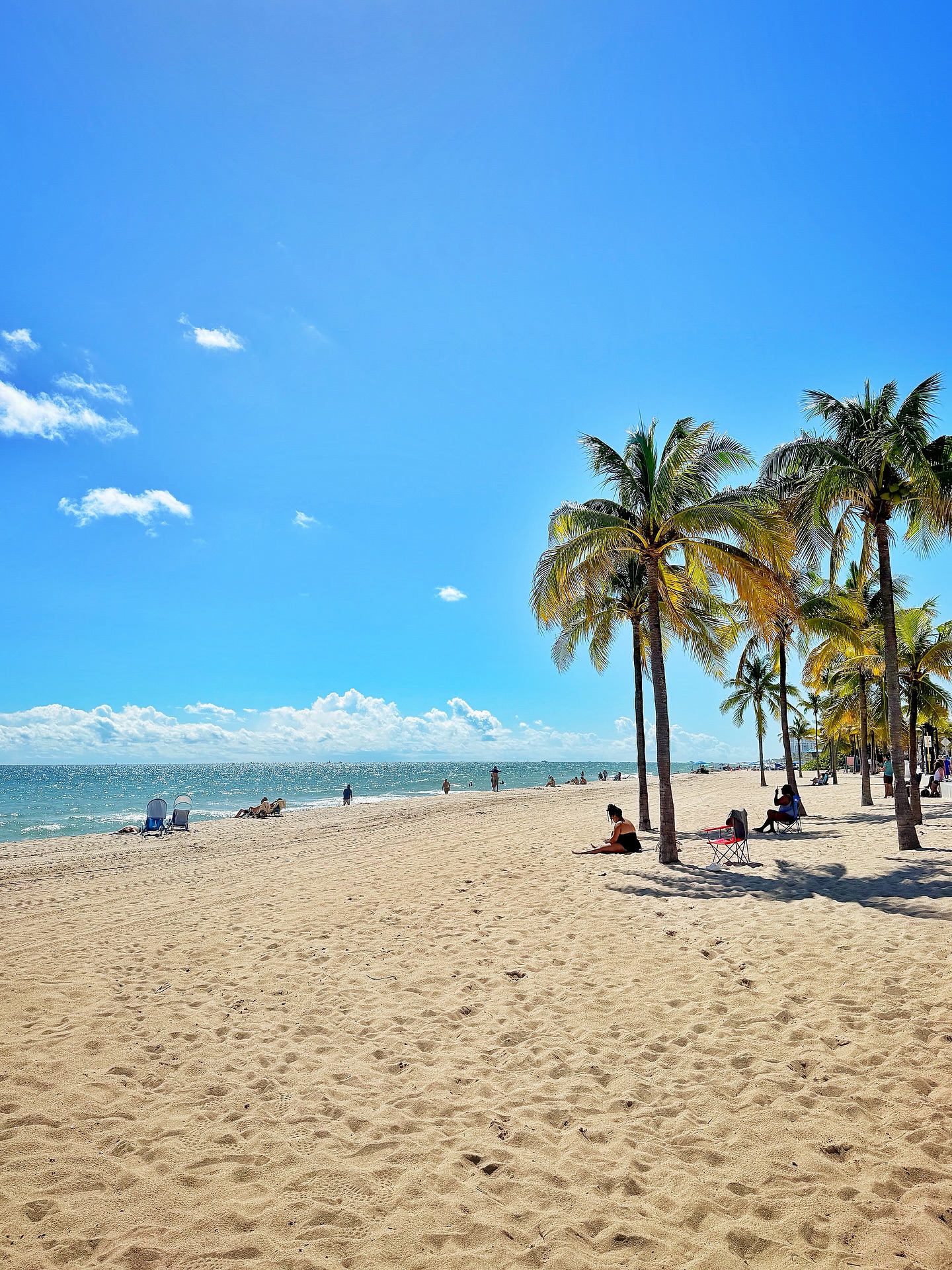 A little bit of everything crammed into a week in Ft. Laudy. ☀️⛈️🦪🍣🐆🏆🎥🌊🌴
~~~~~
Travel, work life, wanderlust, Fort Lauderdale, Florida