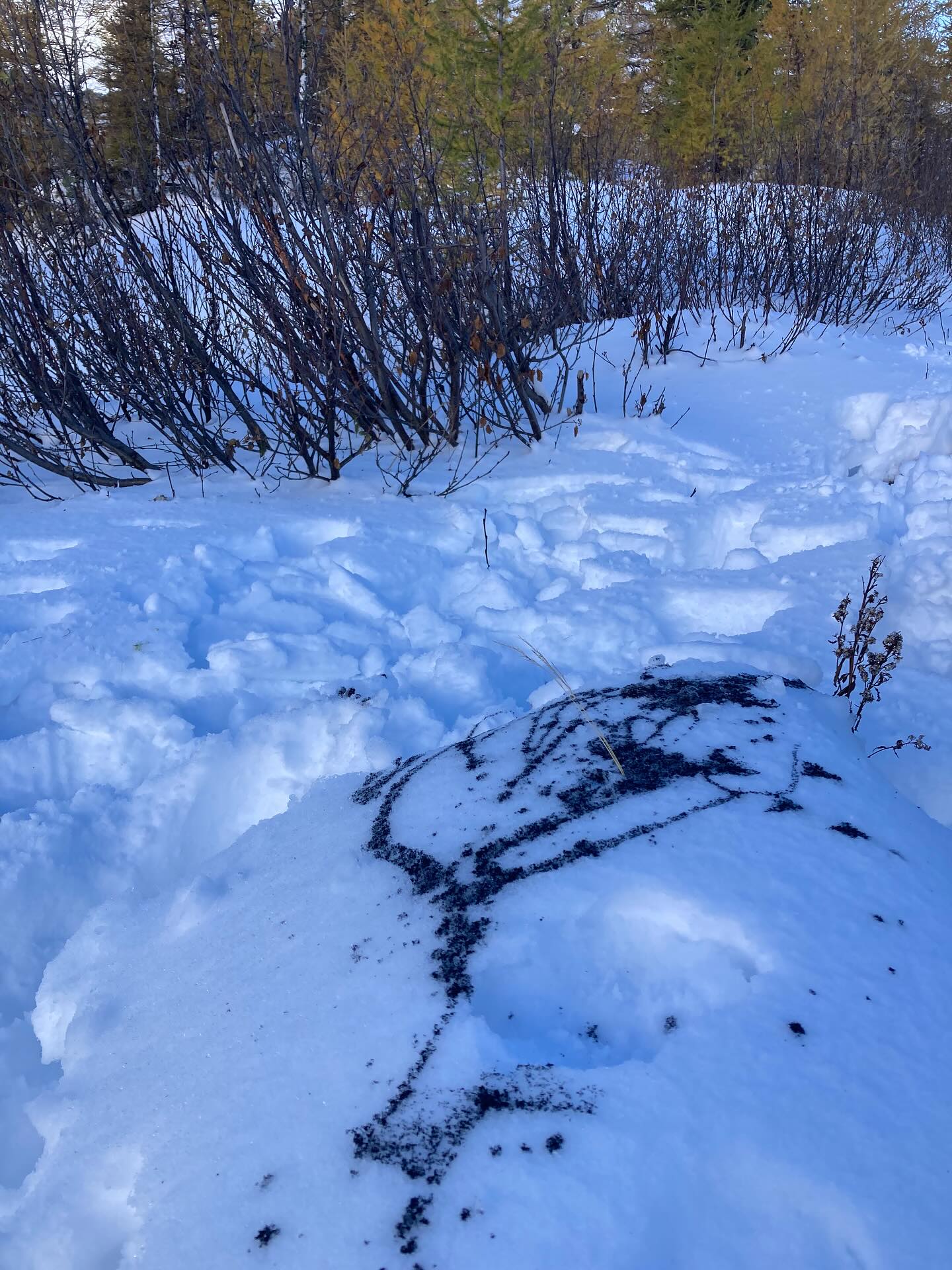 No paper, just drawing… using the atmospheric elements sulphur, carbon and pumice with earth element iron , red and ochre. A little boy came to watch and I asked him if he would take a photo. Rocks from the lateral moraine opposite were crashing and cracking as they slid down to the valley floor. Mary Shelley described the scene in 1816 Frankenstein.. “ the solemn silence of this glorious presence-chamber of imperial nature was broken only by the brawling waves or the fall of some vast fragment, the thunder sound of the avalanche, or the cracking, reverberated along the mountains.”