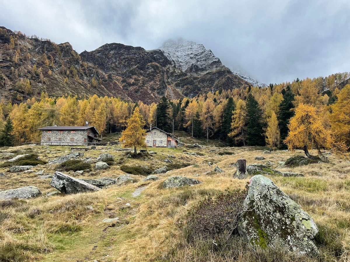 #autumnvibes🍁