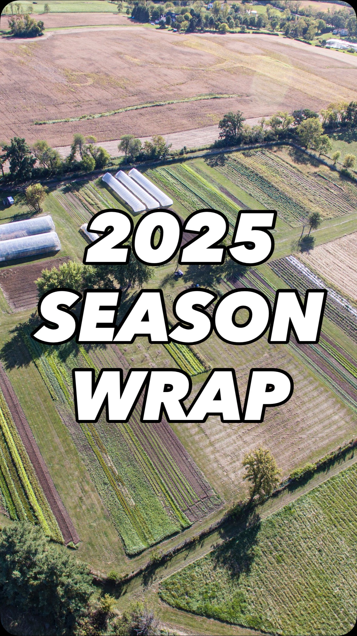 And just like that, another incredible season comes to a close 💚
From packing CSA boxes to early mornings at the markets and hosting a few unforgettable events and dinners along the way. It’s been a year to remember.
We’re so grateful for our amazing CSA members, market customers, and everyone who joined us at the farm. Your support means everything!
Here’s to more veggies, more community, and even more fun next season 🌿
#middleburyfarms #thankyou #farmseasonwrap #organicfarm #communitygrown #csafarm #farmersmarketlove #harvestseason #grownwithlove