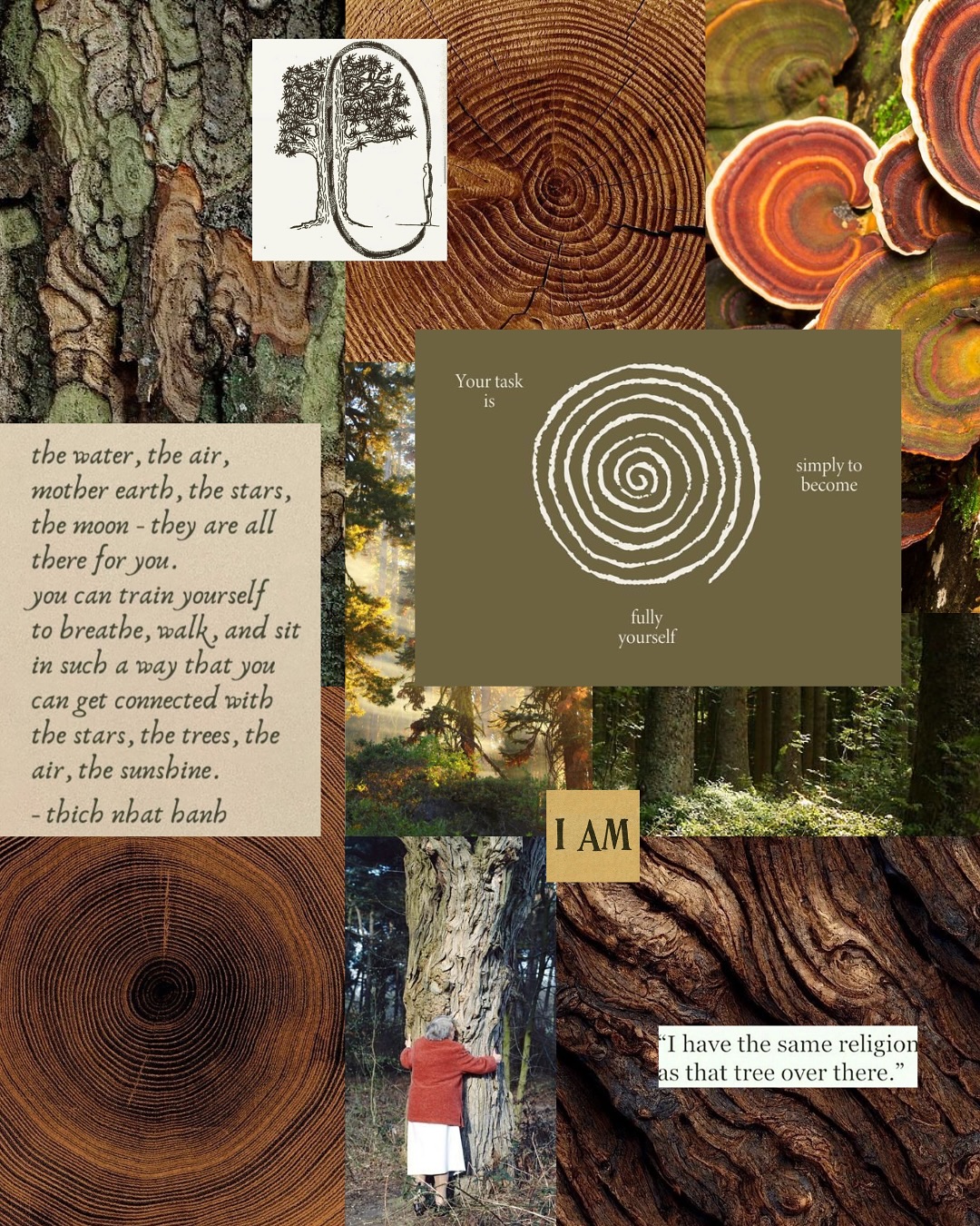 Collage of my recent saves :)
(All quotes & images sourced from Pinterest)