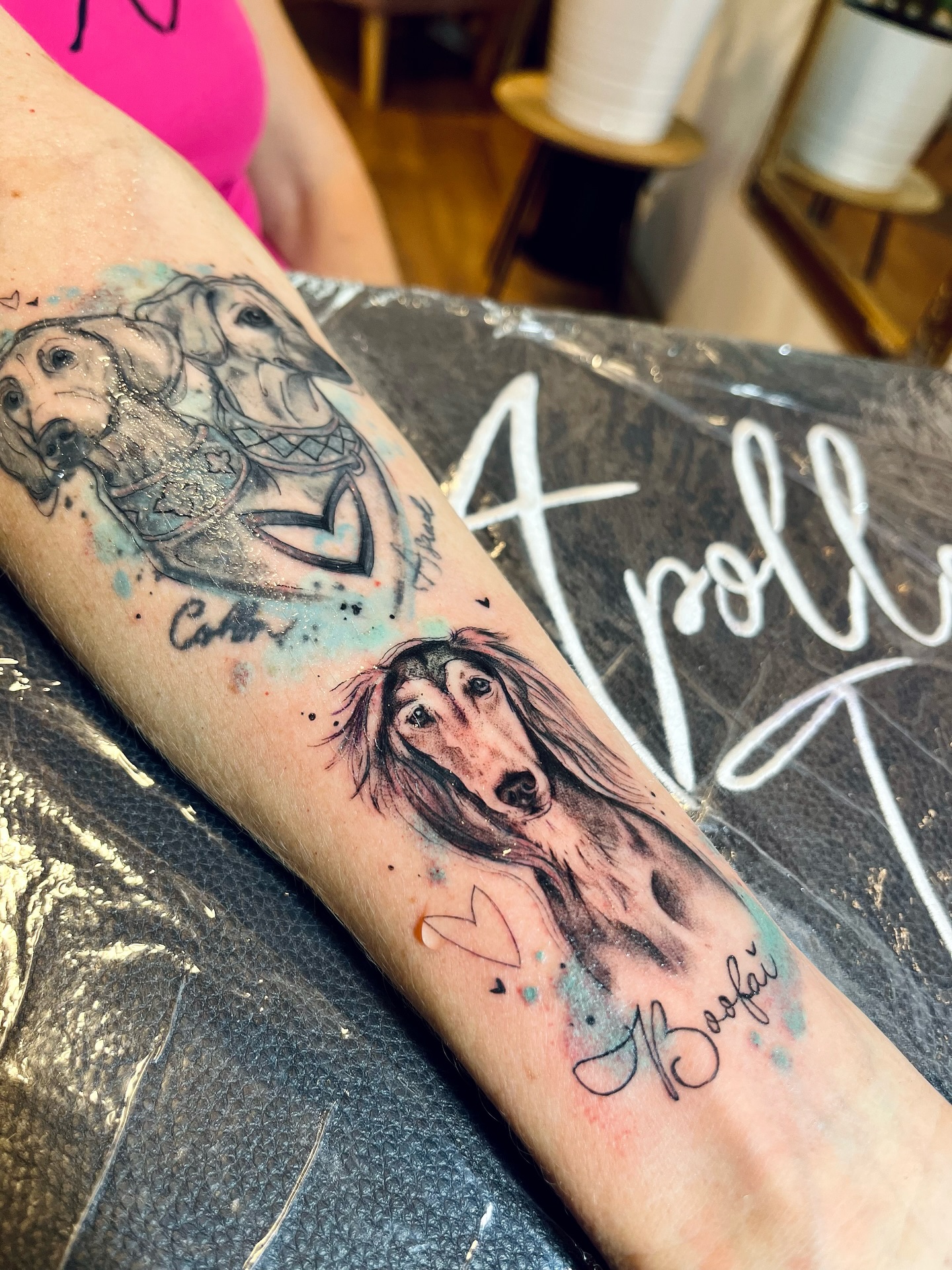 Tak dneska zase ze série portétů pejsků - ale těch pod kůží 💙❤️ chvíli trvalo než jsem našla samu sebe, nebo nějaký specifický styl, co se týče tetování. A dnes je to 6 rok, kdy jsem se zaměřila na pejsky a motivy spojené s nimi.
Je to něco, co mě odlišuje od ostatních.. co mi samozřejmě ztěžuje cestu, protože je dost osekaná na určitou komunitu 😂🥹 ale zároveň otevírá strašně moc dveří a zkušenosti.
Netetuji samozřejmě jen černobíle miniaturky, ale i větší projekty a hlavě barevné, chtěli by jste vidět i je?
Zajímá Vás něco ohledně tetování? Ráda vydám příspěvek s odpověďmi na to, co Vás nejvíce zajímá ❤️
Budu ráda za support na druhé mé stránce @apollotattoo.praha , a nebojte se napsat si o termín 💌
#dogtattoo #dogtattoos #dogportrait #dogrealistictattoo #dogportraittattoo #salukitattoo #salukiportrait #frenchie #frenchietattoo #stafbull #staffbullterrier #staffbulltattoo #bordercollietattoo #bordercollie #chichuahua #chichuahuatattoo #amstaff #amstaffsworld #amstafftattoo