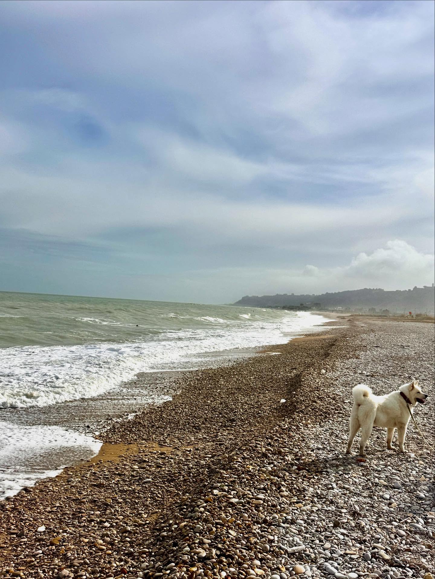 October 31, 2025 - 
A long walk along the roaring waves of the Mediterranean. The sun pushes aside the clouds and creates a beautiful light. I stop. At my feet among all the millions of smooth stones, a message looks at me. 
”Like behind you lie your mistakes and before you death”. This phrase can be interpreted as an existential perspective on life. Focus on the present instead of dwelling on your mistakes. 
So I got something to think about as a birthday present. 67 today. 
Yesterday on TV, or rather my computer. We don’t have a TV. Advertisement for a new skin-face cream. The receipt was that this godsend cream filled with different ‘serums’ turned back time. After each treatment you got younger. 
Already on your way to make a purchase. Next year I’ll be 66 again.
This is how life can be on the hill in Marche.