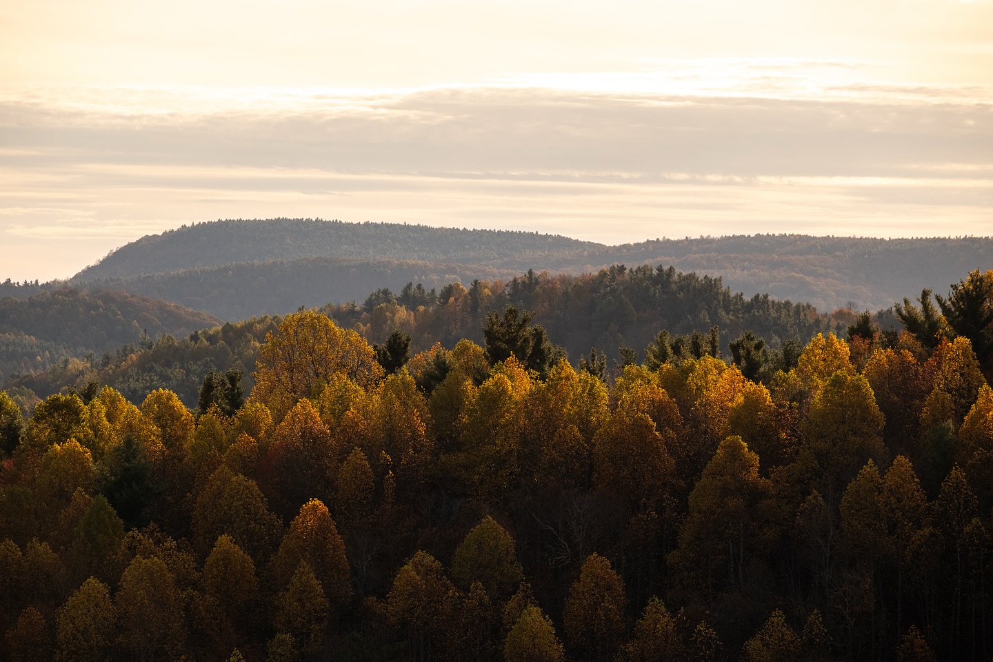 Check out that evening light along those beautiful Autumn tones. Taken along the @blueridgenps near the Virginia state line in Western NC.
Camera: FujiFilm Xt5
Lens: FujiFilm 50-140 f2.8
No filter
#blueridgeparkway #bluwridgemountains #appalachianmountains #outdoors #visitnc #travel #fujifilm #fujifilmxt5 #landscape #landscapephotography #nature #fallcolor #autumn #nataionalparkgeek