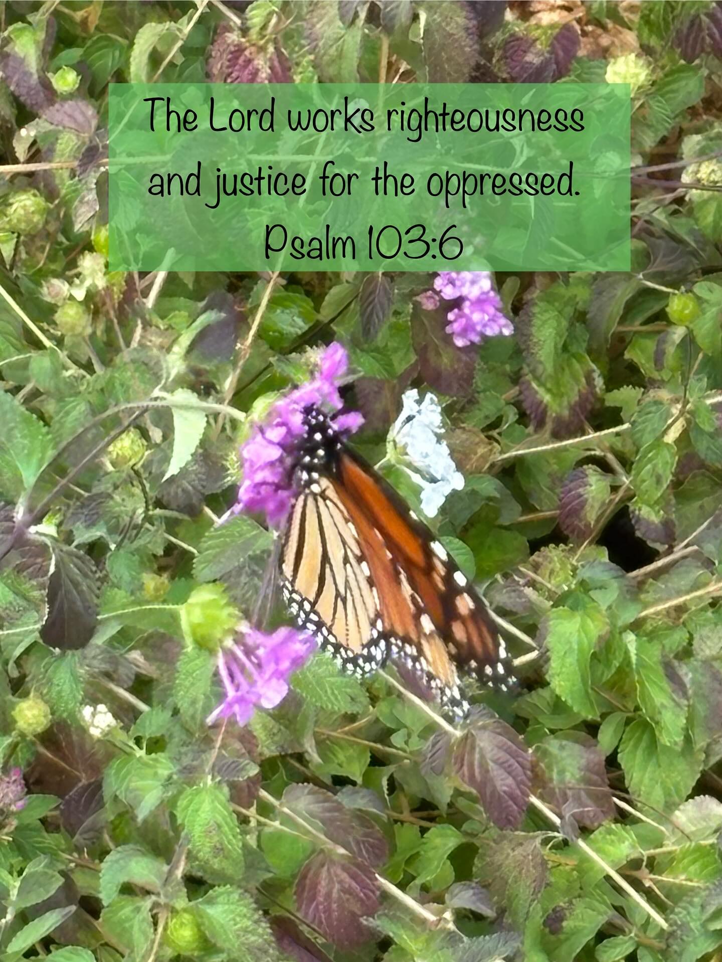 This verse hit me. The kindness of God. Seeing the unseen. This butterfly appeared as I got out of my car today at Grace’s house. It was big and beautiful and stayed with us a while circling the house. A gift.