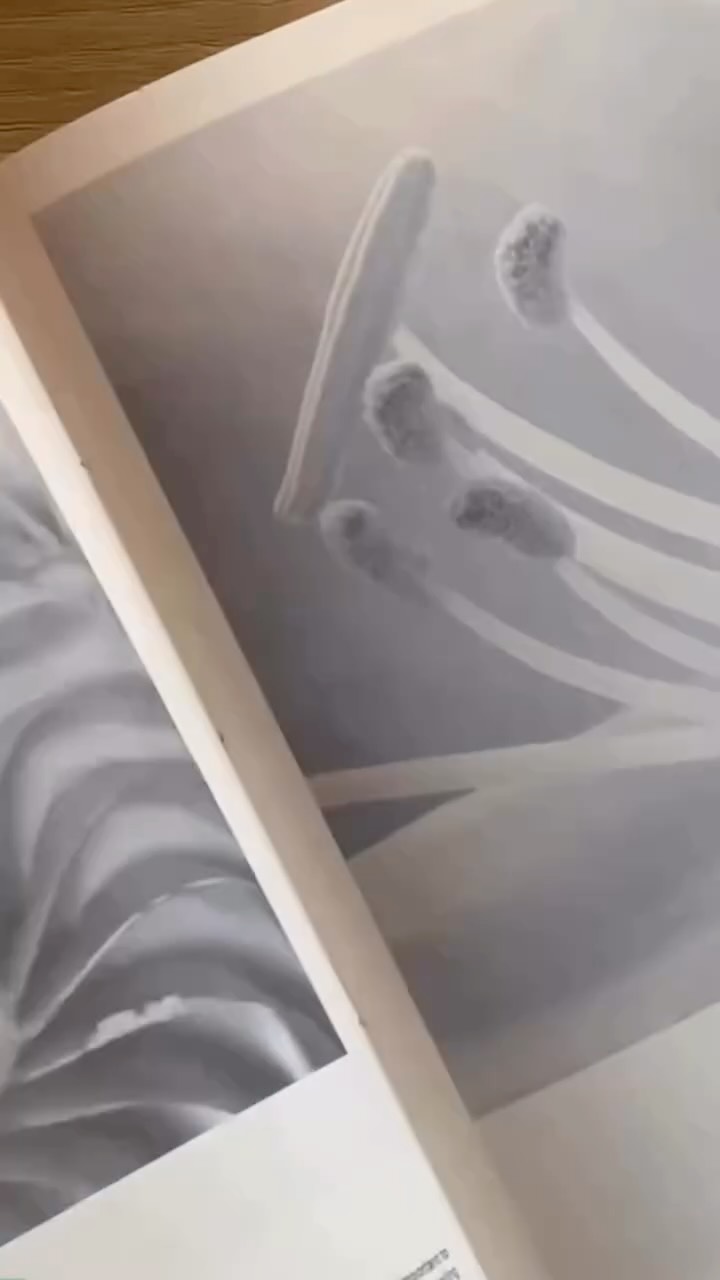 This year’s catalog magazine will be available soon both digital and physical 🪬
〰️ DM or comment to request the access 〰️
#bymnēcatalogmagazine #baliproducts #balicatalog #catalogmagazine #magazine #balimade #baliholiday