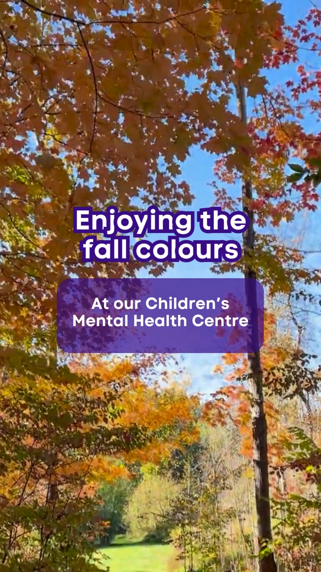 Spending time outdoors isn’t just refreshing — it’s restorative for parents, kids and teens alike. Research shows that nature can:
 🍂Help reduce stress and anxiety
 🍂Boost mood and emotional wellbeing
 🍂Restore focus and attention
 🍂Strengthen feelings of connection with self and others
 🍂Support learning by giving the brain a break from screens
Even short moments outside — like walking to school or enjoying a warm drink in the park — can make a meaningful difference.
📖 Want practical tips for making the most of outdoor time with your child? Read our blog: “Spending Time Outside: Benefits of Nature on Mental Health and Wellbeing.”
📌 Save this post for later or share it with someone who could use a gentle reminder to step outside.
#ChildrensMentalHealth #NatureHeals #ParentingSupport #FallIntoWellness #MentalHealthMatters #WaterlooRegion