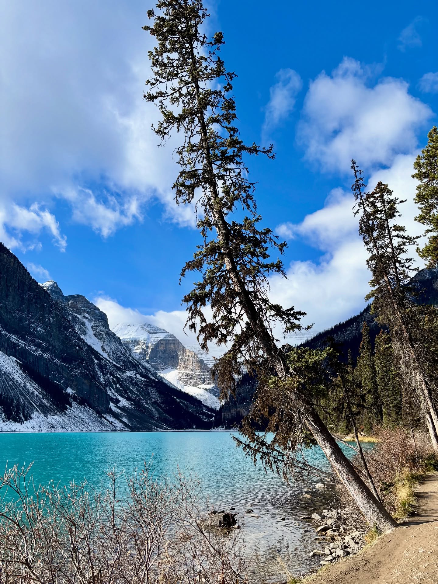 I spent this last week in Banff on a retreat and ohhhhh boy did it humble me.
This wasn’t a “relax on a beach” 🏝️ kinda retreat. This was a “do the deeper work” kinda vibe.
And honestly it cracked me wide open 💔 .
I could see how I was just intellectualizing healing 🧠 and trying to rush the outcome instead of truly allowing myself to feel it in the body and surrendering to the experience.
You see…my body hasn’t felt like a safe place to hang out in the past.
For years I treated it with disrespect, judging it and shaming it. And with experiencing anxiety for so long I was always on high alert 🚨.
And you’d never find me exploring emotions.
Hard pass…I’d rather just numb out📱 🍬 📺.
But I actually went deep during this retreat into understanding just how unsafe I felt. And I see now that it’s MY job to offer that safety going forward.
Many lessons learned that I’ll continue to share but for now: safety and belonging are an inside job ✨.
Shout out to @adele_tevlin and team for hosting an incredible retreat and guiding me to see the deeper layers. Forever grateful for your mentorship 💜.
#retreat #wellnessretreat #subconsciouswork #deephealing #nervoussystemsupport