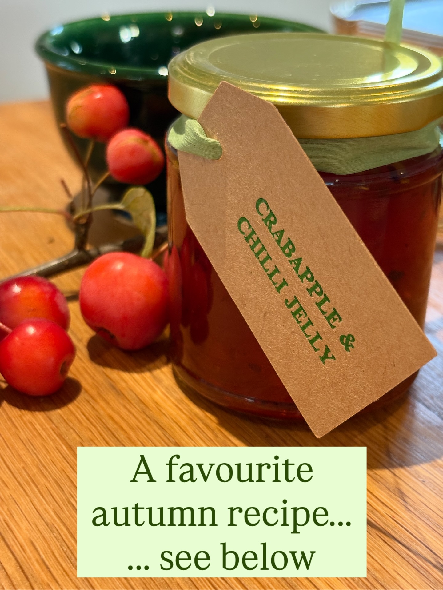 My number one assistant loves making this. Here’s our 2025 batch, with crabapples from our garden and the printing by me.
CRABAPPLE & CHILLI JELLY RECIPE
2kg of crabapples, unpeeled
175ml cider vinegar
about 900g granulated sugar
Dried chilli flakes - level tablespoon or more if you like it hot
Roughly chop the crabapples, core and all, and place in a large, heavy-based, stainless-steel pan with enough water to cover. Bring slowly to the boil. Cover and simmer until the apples are soft (about 20 minutes). Add the cider vinegar and boil for 5 minutes.
Strain overnight through a jelly bag or muslin into a large bowl. Don’t squeeze the bag as this will make the jelly cloudy.
Measure the juice (2kg of crabapples will produce about 1 litre of juice), and for every 570ml, weigh out 450g sugar. Pour the juice into a heavy-based stainless steel pan and add the sugar. Stir over a gentle heat to dissolve the sugar and boil vigorously for about 15 minutes. Take the pan off the heat and test for setting point (best done on a saucer straight from the freezer).
Leave to stand for at least 20 minutes, then stir in the chilli flakes until distributed evenly through it. Taste to check it’s spicy enough - you can add a few more chillies at this stage, but remember that it will get hotter during storage. Pour into sterilised jars.
And make lovely labels!
Enjoy x
