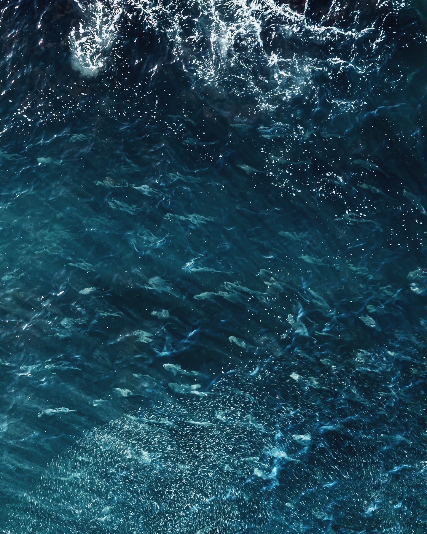 On Top of the Migration With @diamondbackflyrods