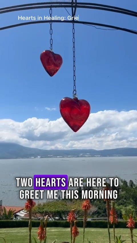 I wasn't looking for a sign this morning. I was just taking a casual stroll around Lake Chapala, camera in hand, breathing in the morning air.
And then I saw them... these adorable hearts, just hanging there, like the universe was winking at me.
My breath caught. Because here I am, planning a Valentine's Day 2026 Grief Healing Retreat, wondering if I'm doing the right thing, if this will truly serve the hearts that need it... and nature literally hangs hearts in my path.
You can't make this stuff up. 💕
Did you know that nature holds us and supports us in healing? She also speaks in whispers and signs, in unexpected hearts and perfect timing.
If you've been wondering whether this retreat is meant for you... maybe this is your sign too.
Hurry! Limited slots only! Sign up now at www.yourdoulaforgrief.com/retreat ❤️