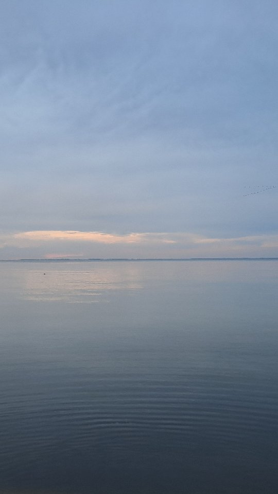 Die Schleier sind dünn,
nicht nur heute,
es ist diese Zeit
Deine Ahnen sind bei dir
Sie sind für dich da
Sie sind auf deiner Seite
Flüstern Sie was,
Zeigen sie dir Wege
oder stupsen dich in eine Richtung ?
Lausche und sei offen
Sie sind immer da
Sie stehen zu dir
doch jetzt sind die Schleier dünn
Happy Samhain 🪶