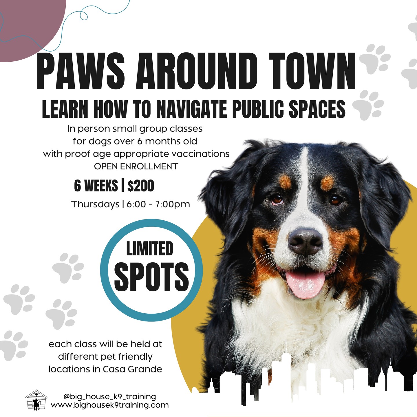 Back by popular demand and here to stay for good! Introducing...
PAWS AROUND TOWN š¾ Casa Grandeās favorite real-life manners class!
Over 6 weeks weāll rotate through:
⢠Home Depot / Loweās: cart manners, aisles, forklifts & noise
⢠Hobby Lobby / HomeGoods: tight turns, leave-it with decor & dropped items
⢠C-A-L Ranch / Tractor Supply: livestock scents, feed bags, outdoor distractions
⢠PetSmart: polite dog-dog meet & greet, greeting rules, indoor distractions
⢠La Grande Café: settle on a mat, under-table calm, ignoring food crumbs
Youāll master: loose-leash walking, calm greetings (no jumping), impulse control, sit, down, stay, doorways, āleave it,ā and relaxing at a cafĆ© like a pro + more!
š Thursdays 6:00ā7:00pm | 6 weeks
š° $200 | small group or $40/class | Drop-in, hands-on coaching
š Casa Grande (locations rotate weekly)
š¶ Dogs 6+ months | ā
proof of age-appropriate vaccinations
šØ LIMITED SPOTS
Ready for stress-free errands and cafĆ© hangouts? Comment TOWN or DM TOWN for the signup link, or grab your spot at bighousek9training.com. Letās turn everyday outings into easy wins! āØ
#CasaGrande #DogTraining #PositiveReinforcement #PawsAroundTown #HomeDepotDogs #LowesDogs #HobbyLobby #CALRanch #TractorSupply #HomeGoods #PetSmart #LaGrandeCafe #LeashManners #ConfidentDog #bighousek9training