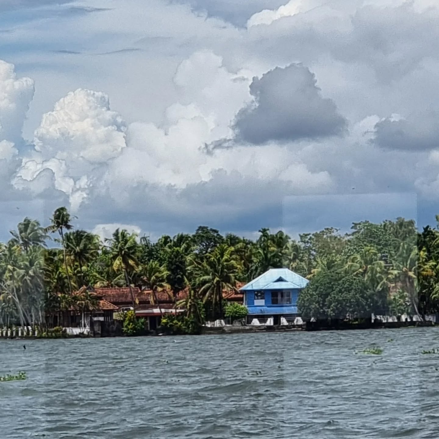 Colours of the Kerala backwaters
#keralabackwatershouseboat
#kerala
#LakeKumarakom
#keralahouses
#keralafishing