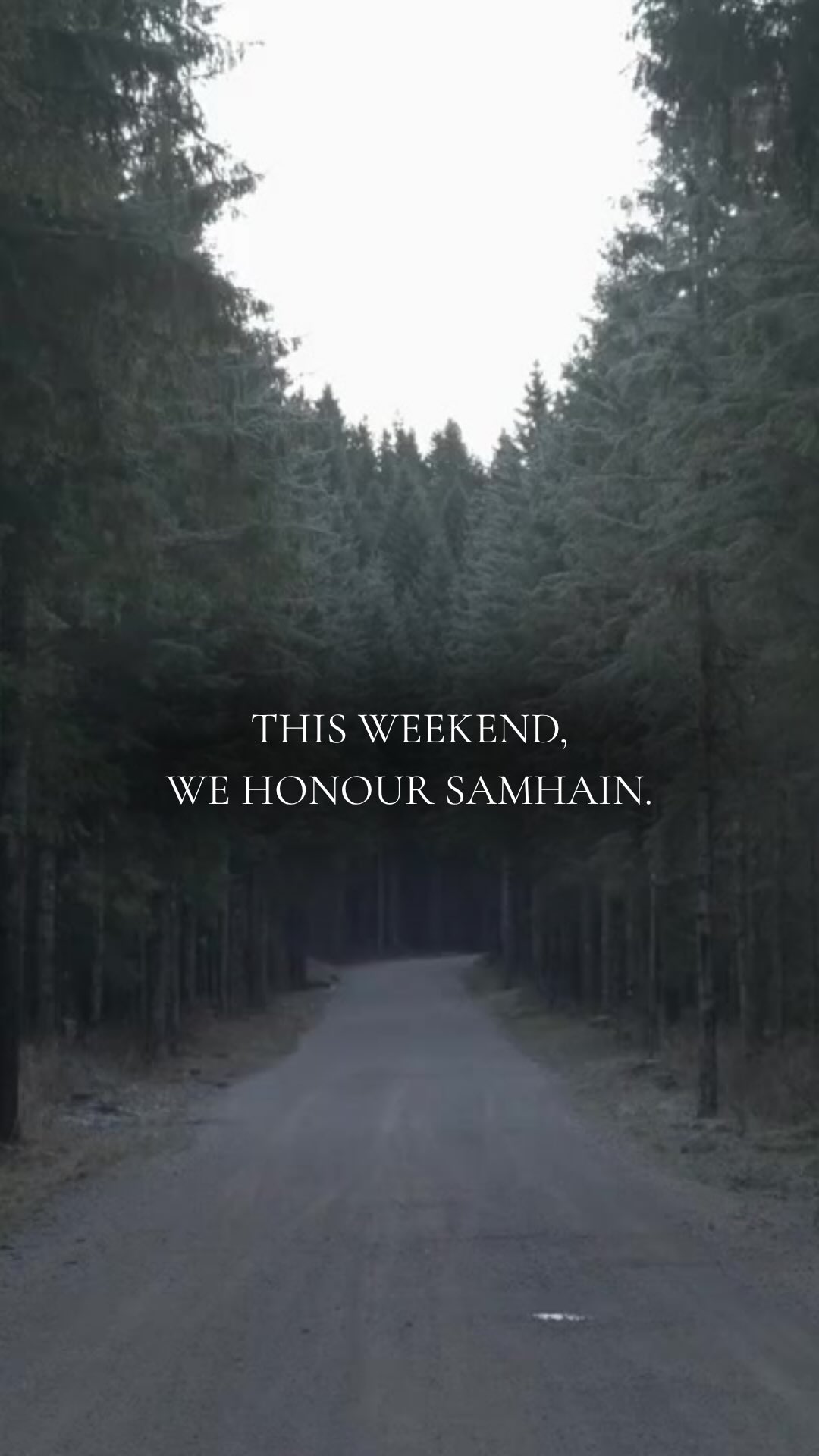 Before Halloween became about costumes and sugary treats, Samhain (pronounced Sow-in) marked the Celtic New Year — a sacred time when the harvest ended, the veils between worlds thinned, and people gathered around fires to honour death, ancestors, and the unseen.
It was never just about ghosts and ghouls. It was about letting go, acknowledging what’s died, and preparing for the dark — with reverence, not fear.
The women who held space for this? The ones who worked with herbs, cycles, stories, and spirits? They were the keepers of Samhain — and yes, many of them were later labelled witches when patriarchy realised that communal power could not be controlled.
Samhain is a call back to that power.
If you’re looking for ritual, ceremony, or connection this weekend, join our Samhain Ceremony with Phoebe and Lydia Saturday morning.
We’ll start with a flow movement session created specifically for Samhain, move into some guided self-reflection journaling, and end with a powerful, restorative gong bath.
Tickets available via the website — link in bio
And if you’re a Ned Member, we’re back on Saturday afternoon with our theme of connection as part of our Men’s Health & Wellbeing event in collaboration with The Unmasked Man. (Your place can be booked via The Ned members app.)