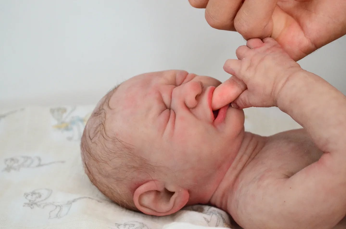 🎉NEW✨
We now have cinebabies with interchangeable heads!
🎥 Shoot all your scenes with a single model. Switch them between two takes in only a few seconds!
A calm, peaceful head that sleeps. Or a head that cries and screams.
This new feature is now available on certain newborn-sized models. But it will soon be available on other sizes 🔜
Model : ACHILLE
Workshop team @juliejellyjumper @virginie_dahmane @celinefragment
#cinebaby #fakebaby #siliconebaby #prosthetics #props #makeupartist #sfx #siliconeprosthetics #specialeffects #makeupeffect #silicone #fake