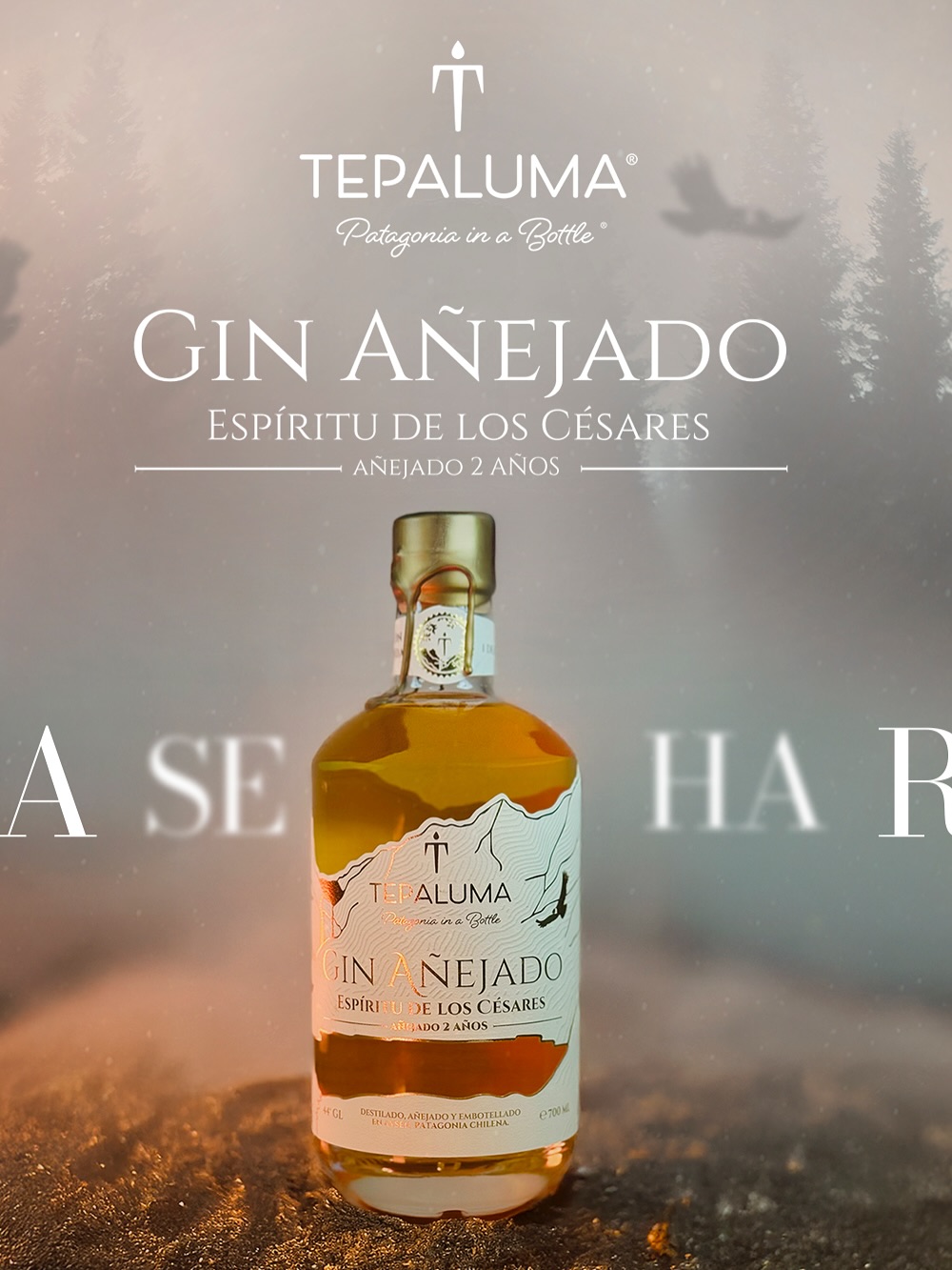 Tepaluma® Gin Añejado, Espíritu de los Césares.
Un gin que, tras dos años en barricas de roble americano, francés y ex Carménère, revela un dorado impecable y aromas que evocan vainilla, miel y madera.
Un espíritu que se abre con elegancia, dejando en boca una huella profunda y armoniosa, un viaje sensorial hacia lo sublime.
🌿 Primera Edición 2025: solo 1.000 botellas numeradas. Un gin que no se explica, se revela.
Preventa disponible en www.tepaluma.com
Despachos o retiro en tienda desde el 10 de noviembre.
Región de Aysén: Retiro en Gran Calafate desde el 21 de noviembre.
Real. Salvaje. Icónico. Tepaluma®
….
⚠️ ᴀᴅᴠᴇʀᴛᴇɴᴄɪᴀ: ᴇʟ ᴄᴏɴsᴜᴍᴏ ɴᴏᴄɪᴠᴏ ᴅᴇ ᴀʟᴄᴏʜᴏʟ ᴅᴀñᴀ ᴛᴜ sᴀʟᴜᴅ I ɴᴏ ʙᴇʙᴇʀ ᴀʟ ᴄᴏɴᴅᴜᴄɪʀ I ʀɪᴇsɢᴏ ᴘᴀʀᴀ ᴛᴜ ʙᴇʙé I ɴᴏ ʙᴇʙᴇʀ ᴍᴇɴᴏʀᴇs ᴅᴇ 𝟷𝟾 ᴀñᴏs I ᴍɪɴɪsᴛᴇʀɪᴏ ᴅᴇ sᴀʟᴜᴅ
ℹ️ᴠᴀʟᴏʀ ᴇɴᴇʀɢéᴛɪᴄᴏ ᴅᴇ ᴛᴇᴘᴀʟᴜᴍᴀ ɢɪɴ: 𝟸𝟺𝟶 ᴋᴄᴀʟ ᴘᴏʀ ᴄᴀᴅᴀ 𝟷𝟶𝟶 ᴍʟ I ᴛᴇᴘᴀʟᴜᴍᴀ ᴍᴀǫᴜɪ ɢɪɴ: 𝟸𝟷𝟽 ᴋᴄᴀʟ ᴘᴏʀ ᴄᴀᴅᴀ 𝟷𝟶𝟶 ᴍʟ
#TepalumaGin #Patagonia #PatagoniaChilena #DestileríaTepaluma #CarreteraAustral #Chile #añejado #agedgin