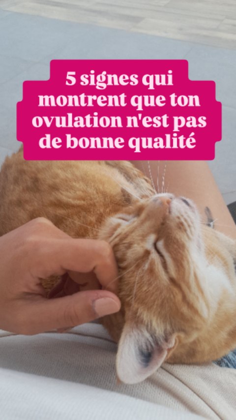 1. Pas de glaire ou une glaire non évolutive: qui reste blanche, épaisse, collante. Vous n'observez pas d'évolution vers une glaire transparente, élastique/filante, fluide, lubrifiante (type blanc d'œuf cru)
2. Pas de changement net après le pic de glaire: vous n'observez pas d'assèchement net après ce pic élastique et fluide (retour vers une glaire collante/plus sèche puis disparition de la glaire)
3. Une phase lutéale de moins de 10 jours: souvent un folicule partiellement lutéinisé (une ovulation "incomplète" ou de mauvaise qualité), avec un corps jaune qui ne produit pas assez de progestérone, donc une phase luteale courte (bonus SPM pour les chanceuses)
4. Des spotting de plus de 3 jours: généralement un déficit de progestérone ou un déséquilibre de la balance œstrogènes/progestérone, fréquemment dus à une ovulation peu quali
5. Des règles très légères et/ou très courtes: signe d'un endomètre peu développé = d'une phase folliculaire et d'une ovulation peu qualitatives
6. Petit bonus: le bon gros SPM, cet ami qu'on a pas invité mais qui s'incruste à chaque fois 🙄 Du à un manque de progestérone (réel ou relatif) ou de sensibilité à celle-ci. Plusieurs facteurs impactent la progestérone, mais il faut tout de même retenir schématiquement que plus on ovule bien, plus on a de progestérone.
Si tu te sens concernée et que tu souhaites retrouver une ovulation de qualité pour un bon équilibre hormonal et une meilleure santé générale, je suis là pour t'accompagner 🙂
(Lien en bio)
#cycleféminin #santefonctionnelle #santenaturelle #santefeminine #hormones #ovulation #spm #symptothermie #glairecervicale #naturopathie #naturopathiefonctionnelle #equilibrehormonal #progesterone #oestrogenes #lutealphase #fertilité #fertility #menstruation