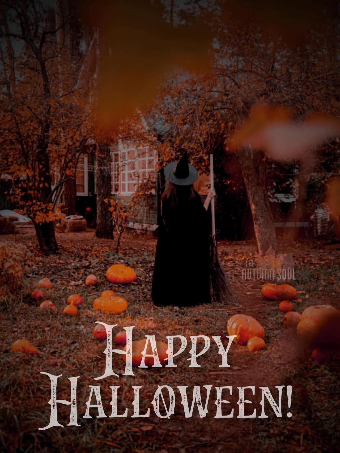 Happy Halloween 👻🎃