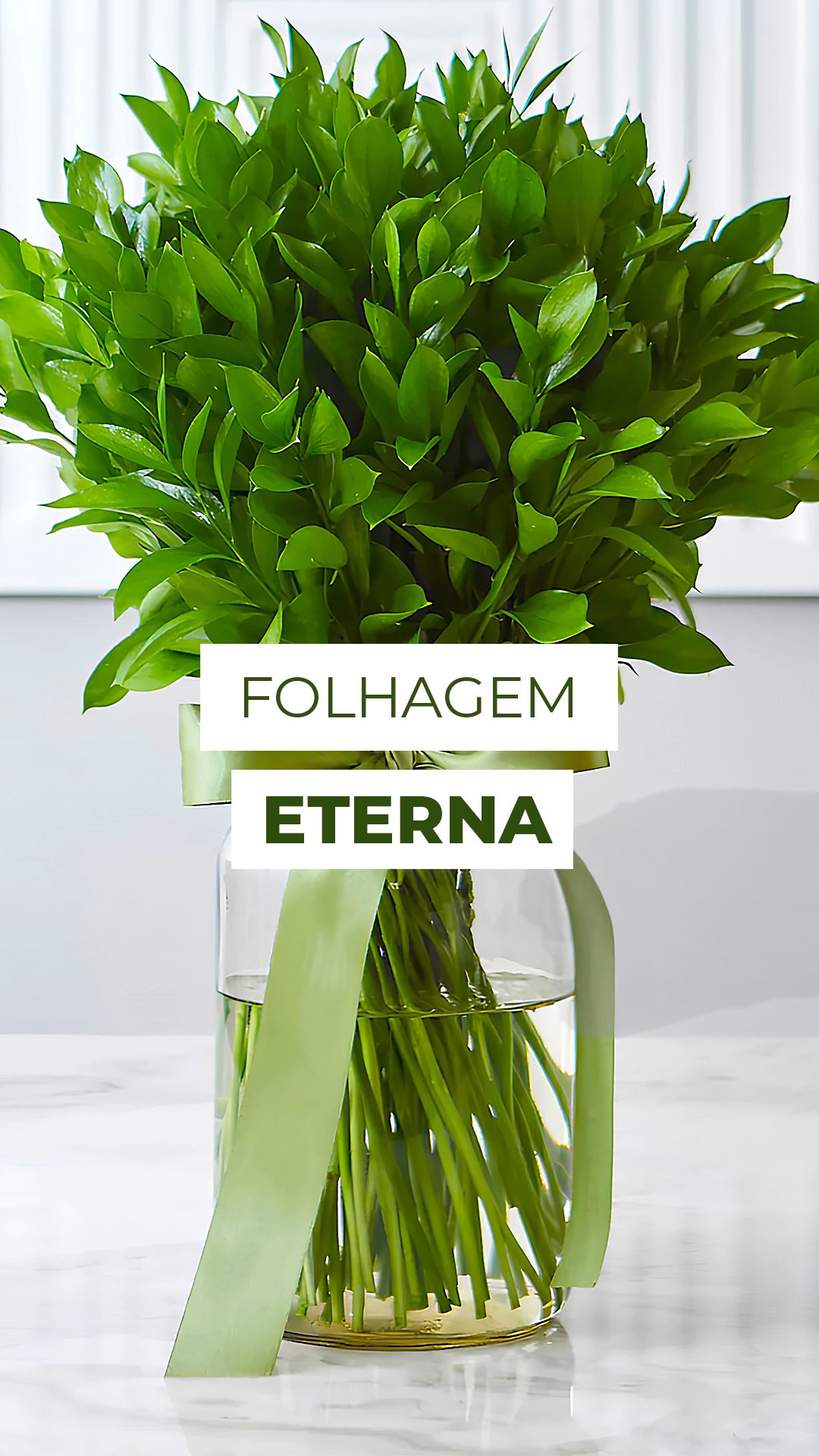 Essa folhagem vai viver por meses na sua casa!!! 💚
O Ruscus é o segredo dos arranjos duradouros, conhecido por durar semanas com o mesmo verde intenso.
E o truque é que o que parecem folhas são caules especiais, chamados cladódios, que retêm água e mantêm o frescor por muito mais tempo.
E ai, já conhecia o Ruscus?
Conta aqui nos comentários👇
#ruscus #ruscushypophyllum #folhagemdecorativa #decor #decorações #folhagem #folhagemdecorte #arranjosflorais #naturezaemcasa #floristas #decorverde #verde #folhagem #decor #designfloral #arranjos #arranjo