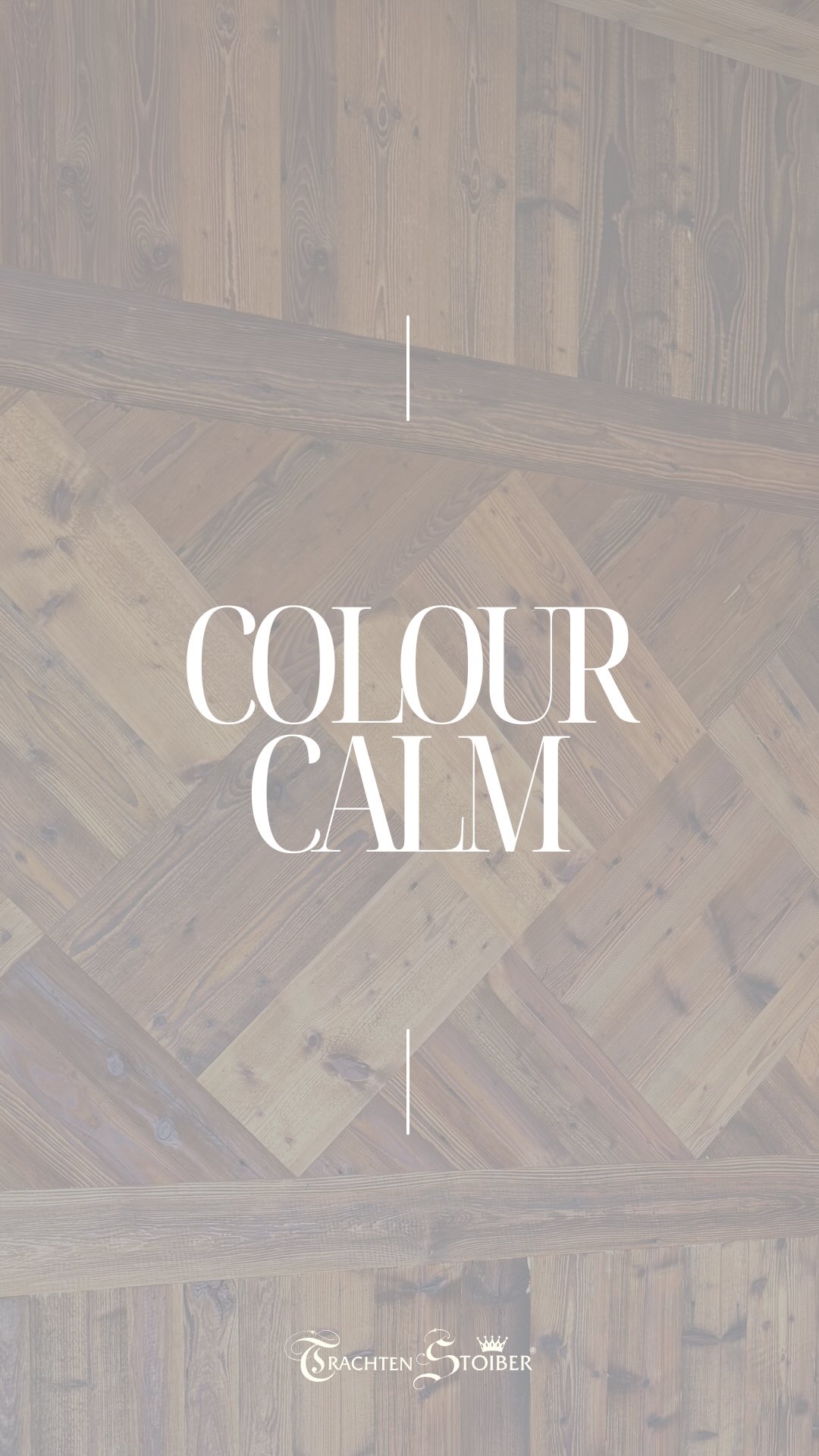 Dirndl Christine – elegante Ton-in-Ton-Gestaltung, edle Jacquardschürze & fließender Rock vereinen Stil und Komfort. Perfekt für jeden festlichen Anlass. ✨