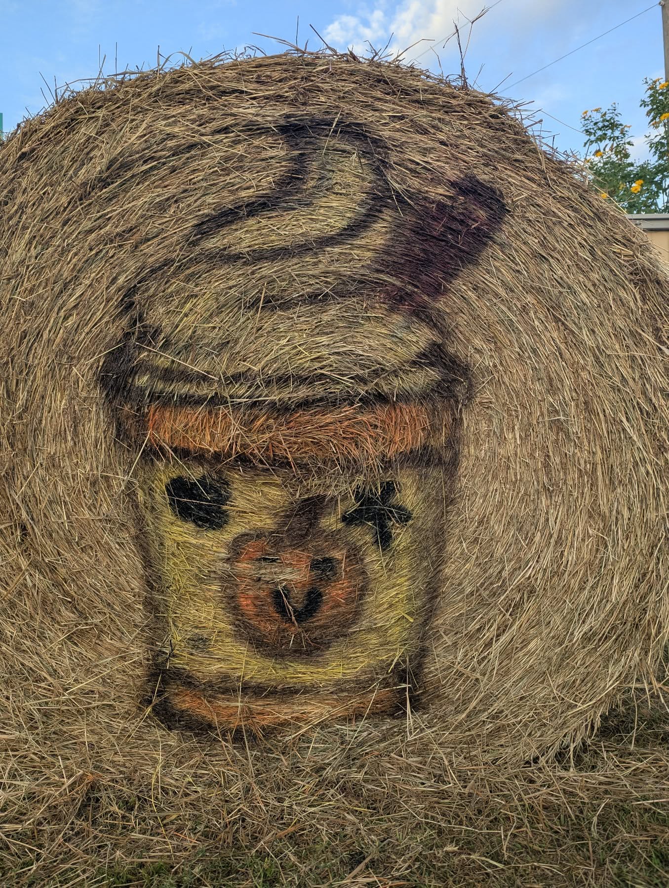 Starting off a beautiful Fall Season Day. Happy November โฅ๏ธ๐๐ฉ๐ปโ๐พ๐๐ป๐ฝ๐ง๐ผโ๐พโ
#goodmorningโ๏ธ #goodvibes #fallmorning #coffee #sweetfieldsfarm #cornmaze