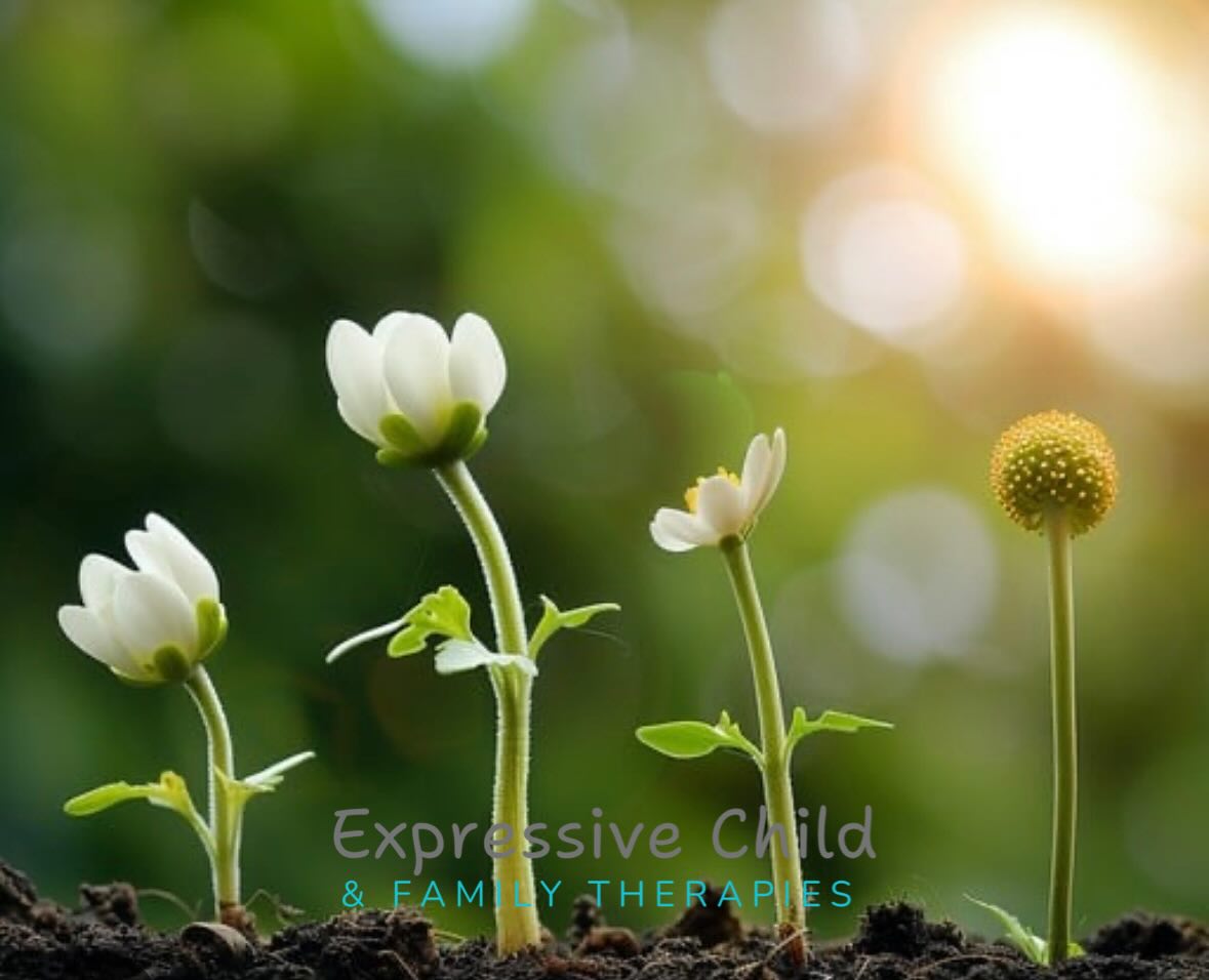 We flourish when we are part of an ecosystem of connection 💞🌱