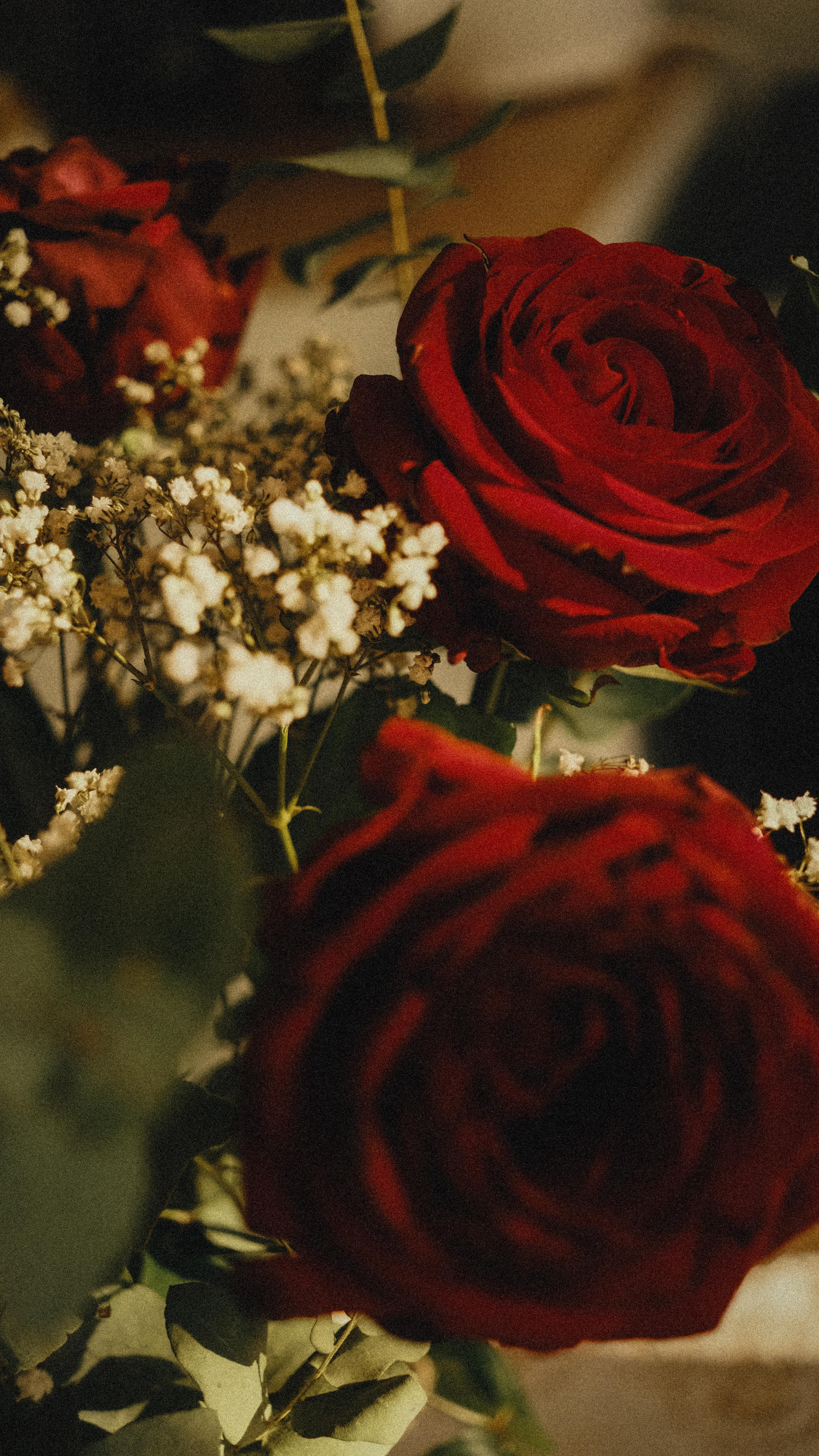(Re)ouverture prochaine 🤎
3 ans et 9 mois, suspendu, entre l’ombre et la lumière.
J’ai beaucoup de choses à vous dire.
Mais les photos parleront pour moi.
#Photographe #aixenprovence #comebacksoon #vintage
