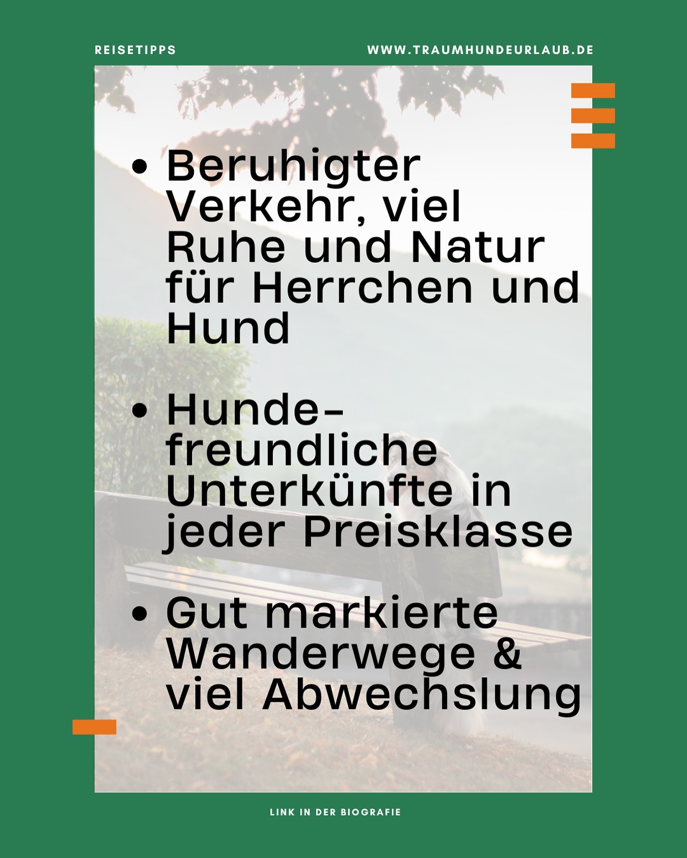 Urlaub mit Hund in der Eifel – Wälder, Seen und endlose Wanderwege warten auf euch! 🌲💚
Auf Traumhundeurlaub.de findest du über 565 hundefreundliche Unterkünfte für euer nächstes Abenteuer. 🏞️🐶
Wir wünschen viel Spaß bei der Planung.
Weitere Infos im Blog —> Link in BIO 🤌🏼
#Traumhundeurlaub #EifelMitHund #UrlaubMitHund #hundeglück #hundemachenglücklich