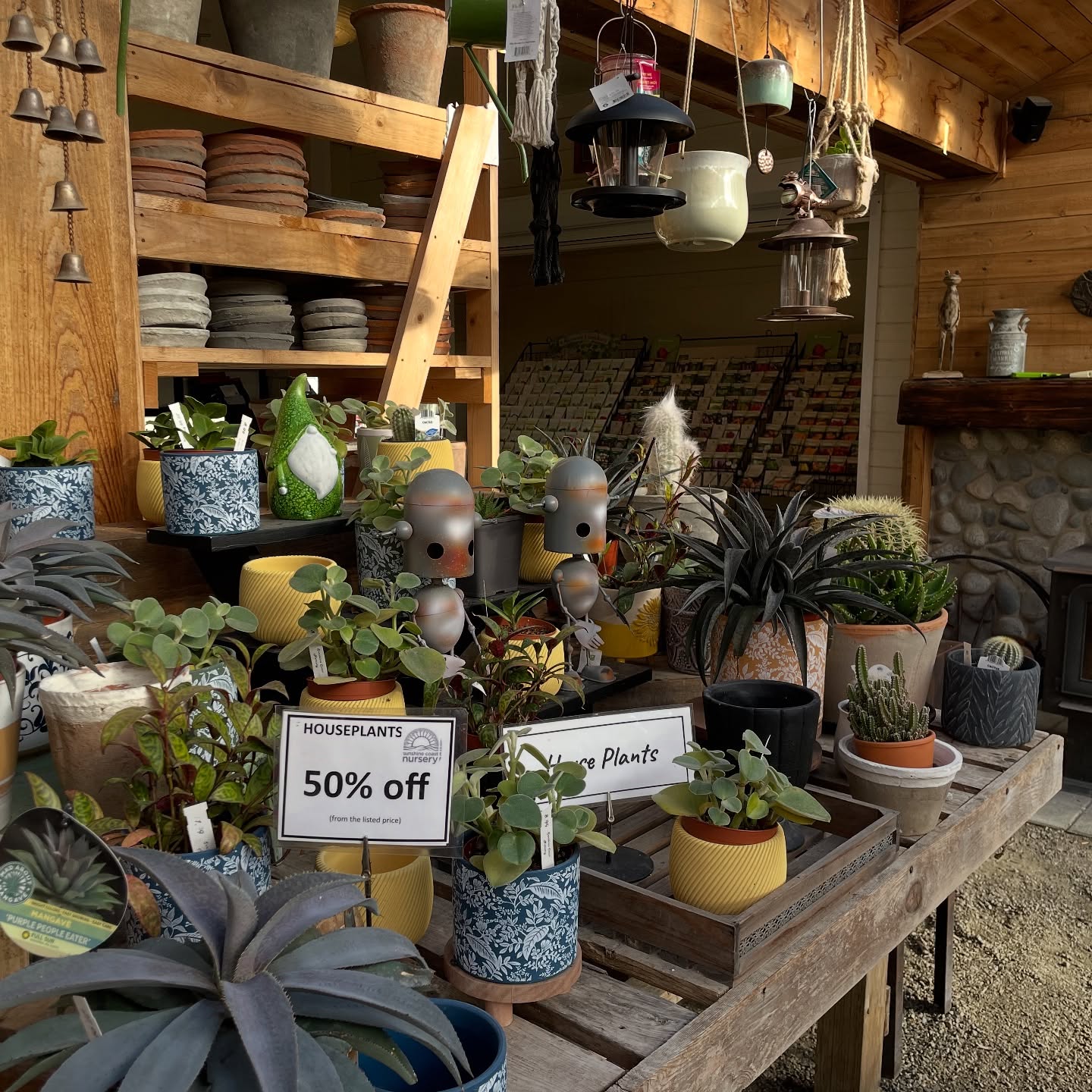 🪴Half off houseplants!
Because we’re heading into our winter nap, and these green beauties deserve warm homes before we close on Nov 10th.
From pothos to palms, bonsai to succulents, they’re all 50% off this week only.
Perfect time to adopt a little indoor jungle or give your favourite plant lady (yes, you) an early holiday gift.
And can we just say thanks for another amazing season. You made it a joy to show up and play in the dirt every day. 🌿
#SunshineCoastNursery #ShopLocalBC #SunshineCoastBC #Houseplants #GardenCentre