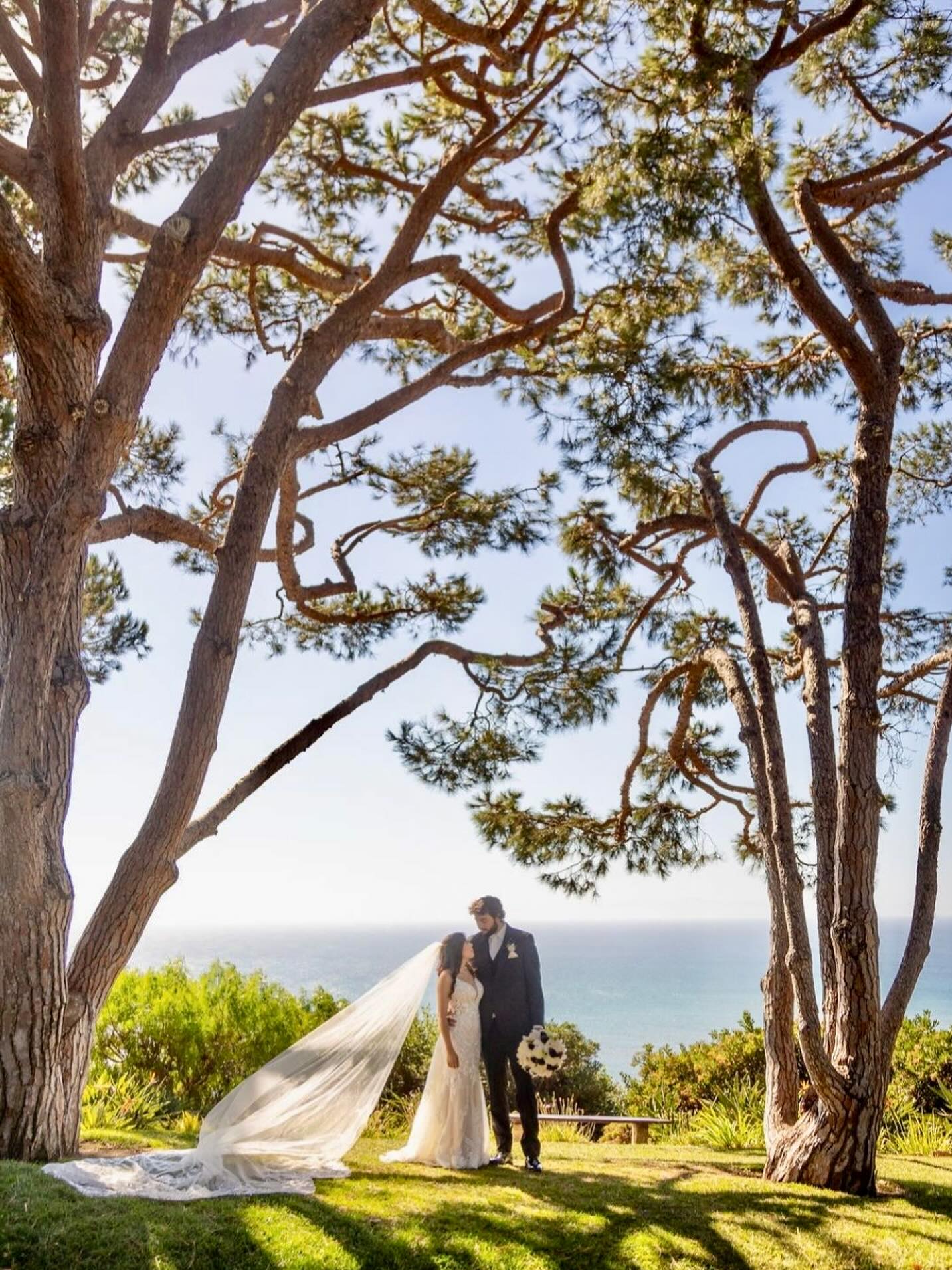 Forever starts here. A moment surrounded by nature, light, and love and she was absolutely glowing.
#SessionsMakeup #BridalBeauty #CaliforniaWedding #WeddingGlam #BridalInspo #NaturalGlam #GlamBySessions #WeddingMakeupArtist #HairAndMakeupArtist