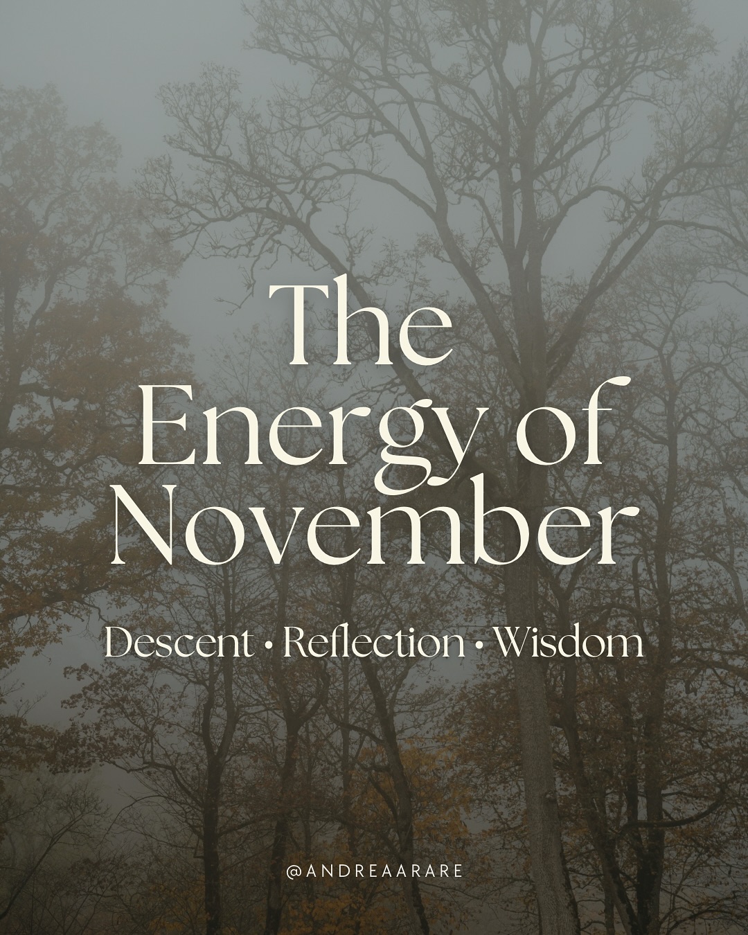 November is the time when nature teaches us the grace of letting go and the quiet power of listening. 🌙
The Earth slows. Trees stand bare. Animals burrow deep.
In this stillness, we are reminded that rest is not idleness, it’s preparation.
This is a time of tending the embers of your spirit and listening to the quiet wisdom that only the dark can reveal.
Swipe to explore the spiritual energy of November 🍁
#november #wheeloftheyear #cyclicalliving