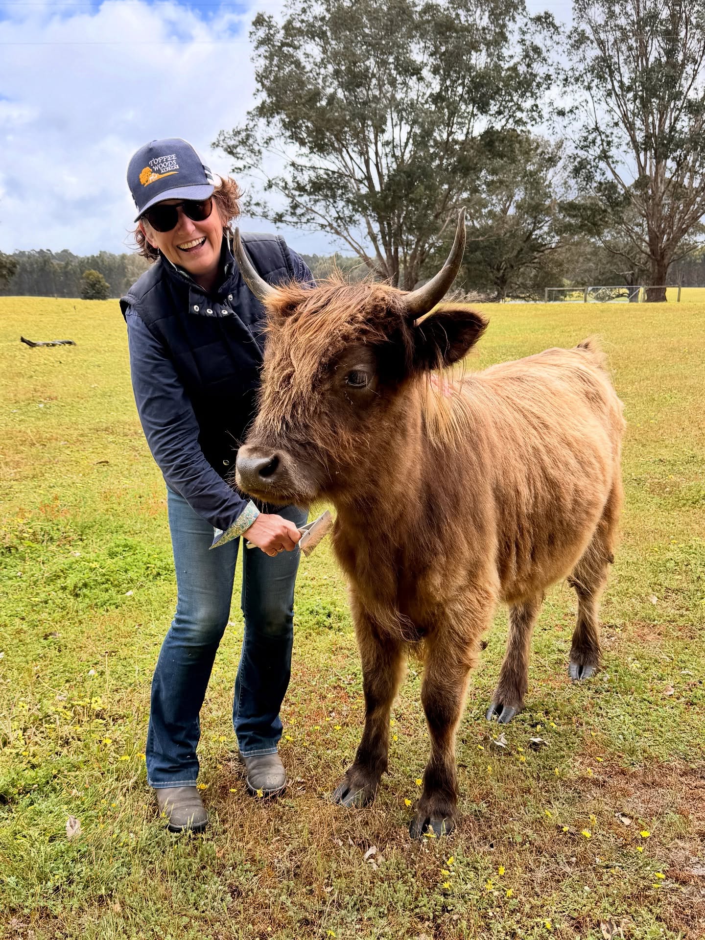 Happy cow 🐮= Happy guest
#wildinourheart #southwestwa #westernaustralia #experiencenannup #highlandcow #farmstay