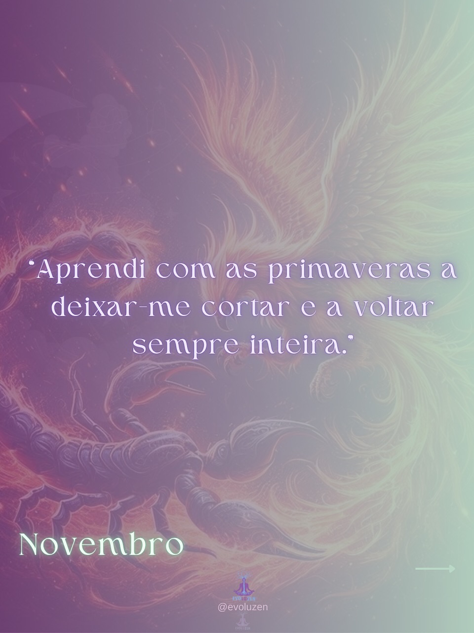 Previsão novembro 🎉