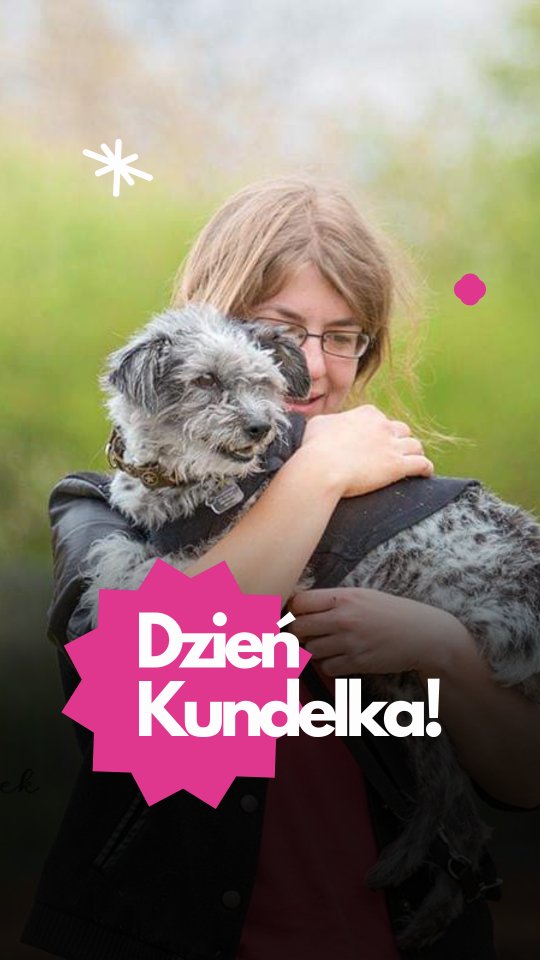 Dzień Kundelka to dobre przypomnienie, że psy potrafią być naprawdę różne i właśnie w tkwi cały ich urok ❤️ Niektórzy z naszych tymczasowych podopiecznych to takie mieszanki, że nawet weterynarz zgaduje „co w nich siedzi”.
A my? Pomagamy im i patrzymy, jak z dnia na dzień nabierają pewności, poznają teren, zaczynają się bawić i w końcu zasypiają spokojnie.
Kundelki są wdzięczne, uparte, zabawne, czasem trochę bezczelne. I może dlatego tak dobrze odnajdują się w Merdu-Merdu — tu nikt nie próbuje ich „naprawiać”. Dajemy im czas, miejsce i codzienność, w której mogą być psami.
Wszystkiego dobrego, Kundelki. Nie tylko dziś. 🐾
#merdumerdu #dzieńkundelka #kundelek #psihotel #pieswhotelu #domtymczasowy #opiekanadpsem #psieżycie #psieszczęście #nowydwormazowiecki #warszawazpsem