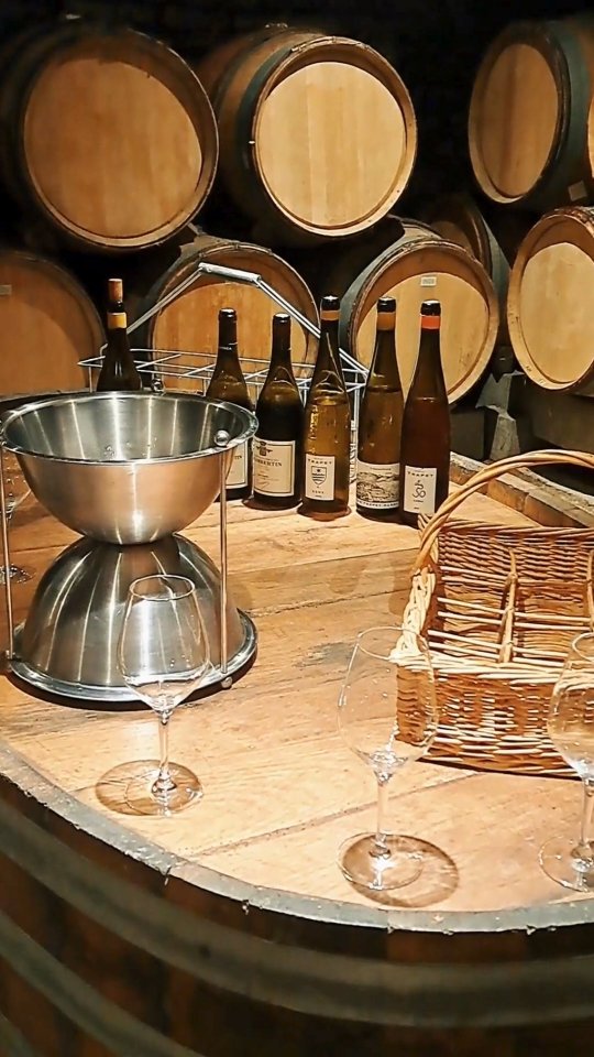 | Visite de Cave |
Merci au @domaine_trapet pour leur accueil 🍷
Visite de la cave et dégustation d'une sélection de cuvées sur les appellations Marsannay, Gevrey Chambertin et Chambertin 🍇 mais également des vins d'Alsace de leur domaine à Riquewihr.
Retrouvez prochainement quelques unes de leurs cuvées en boutique !
#vindebourgogne #vindalsace #Bourgogne #Alsace #domainetrapet #caviste #degustation